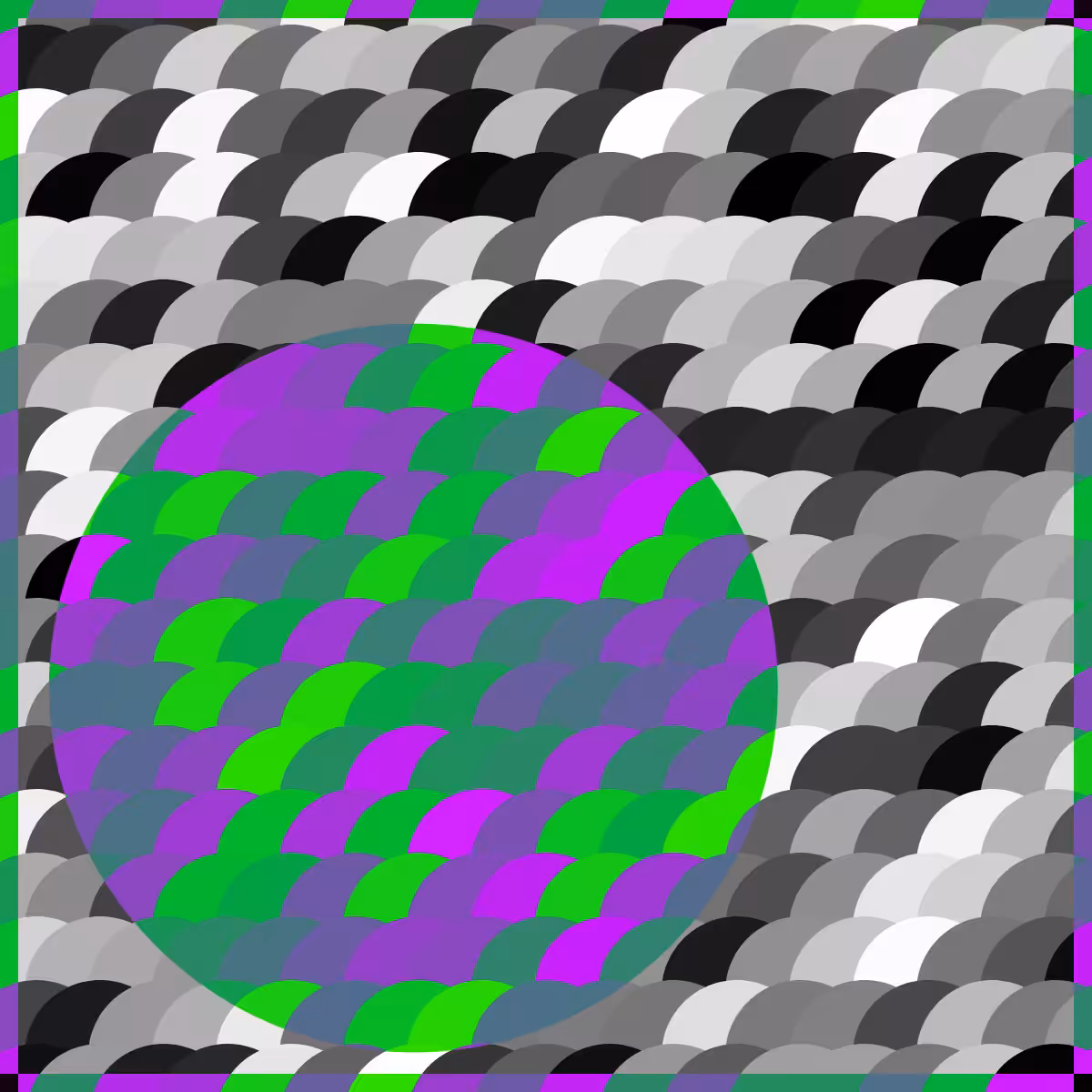 Magnify #6