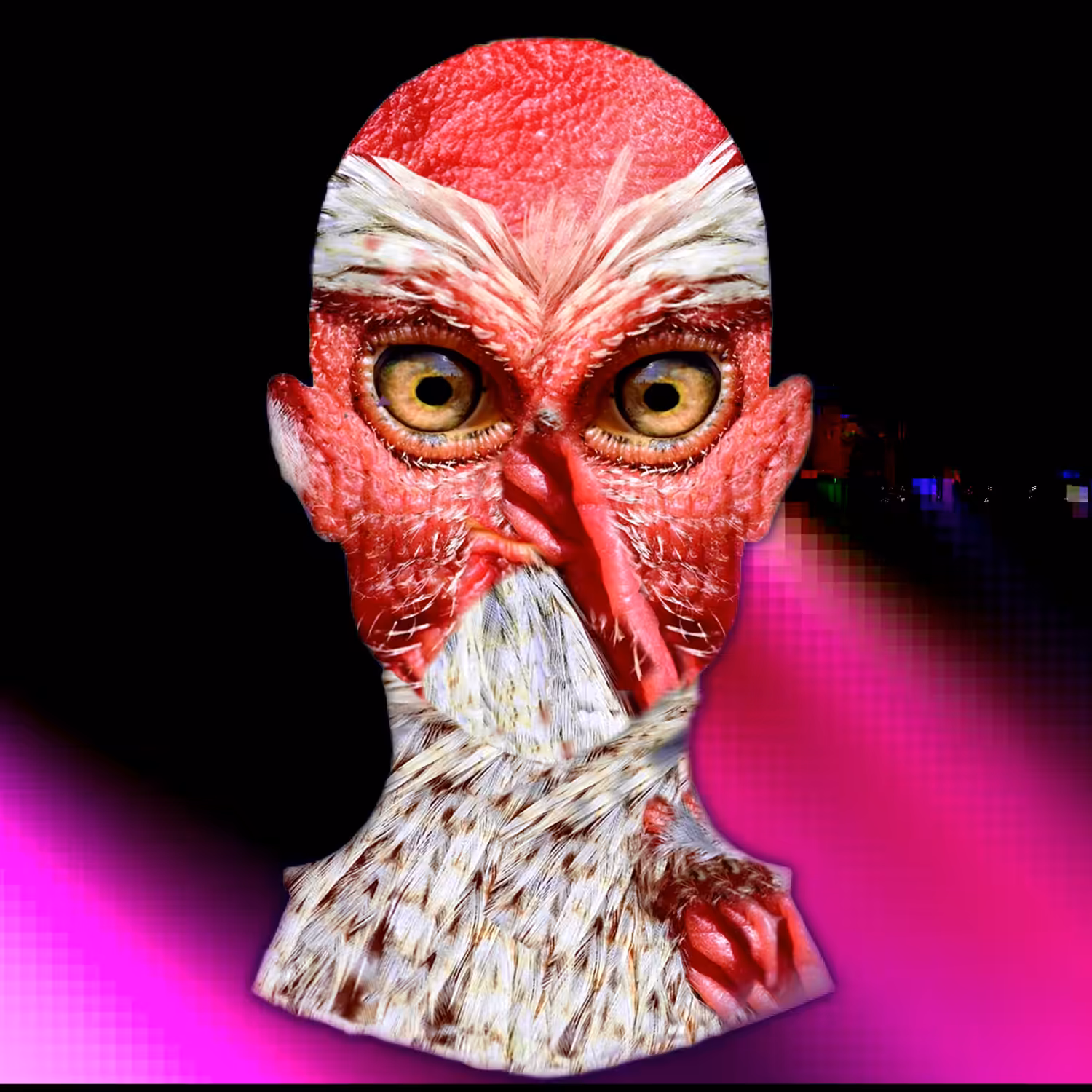 GALUTOMATION