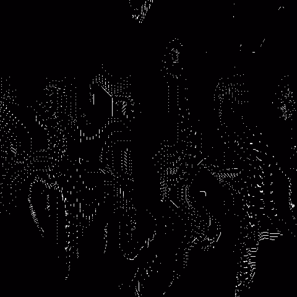 X0X538