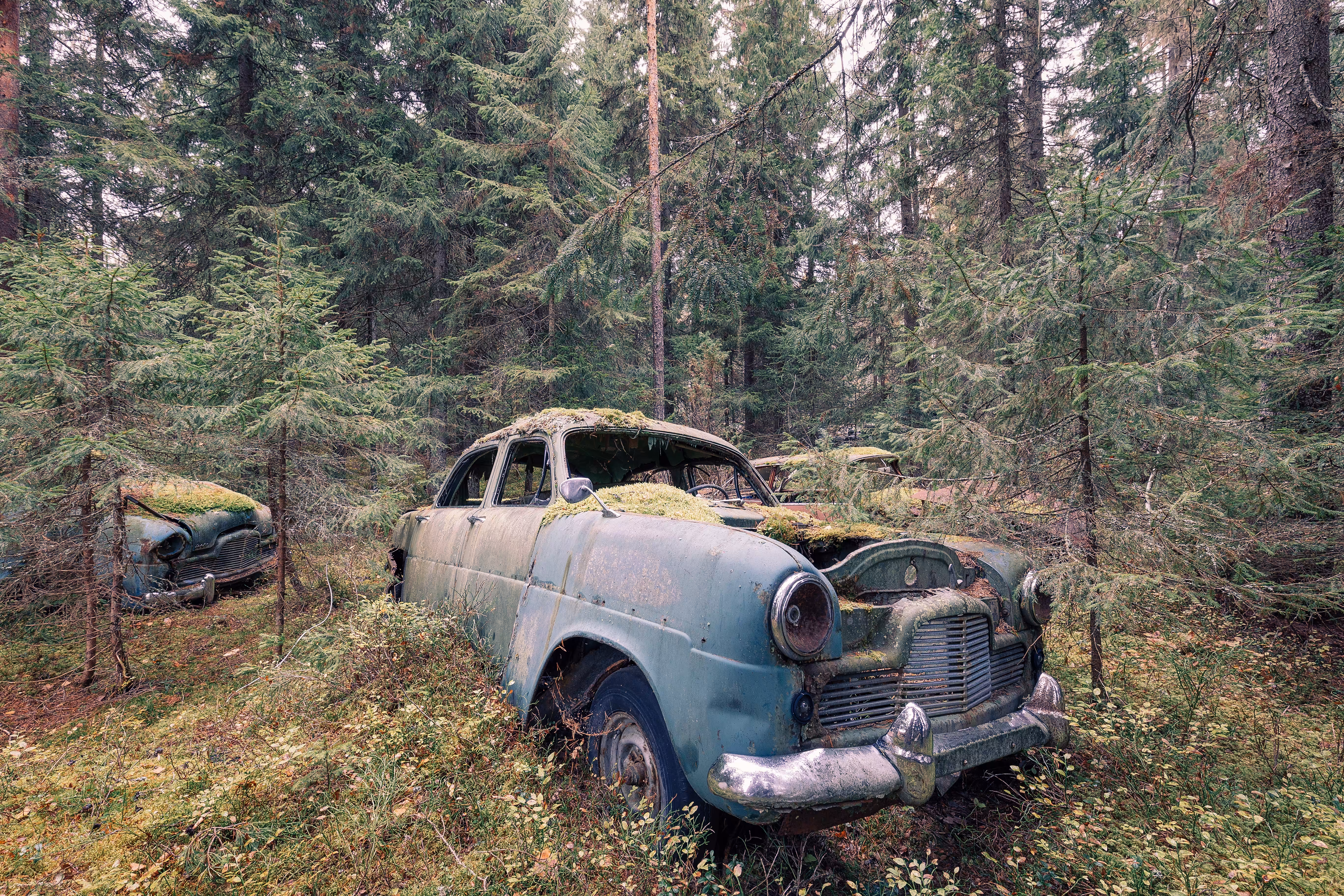 Patina #6 - S01 - Scandinavian woods