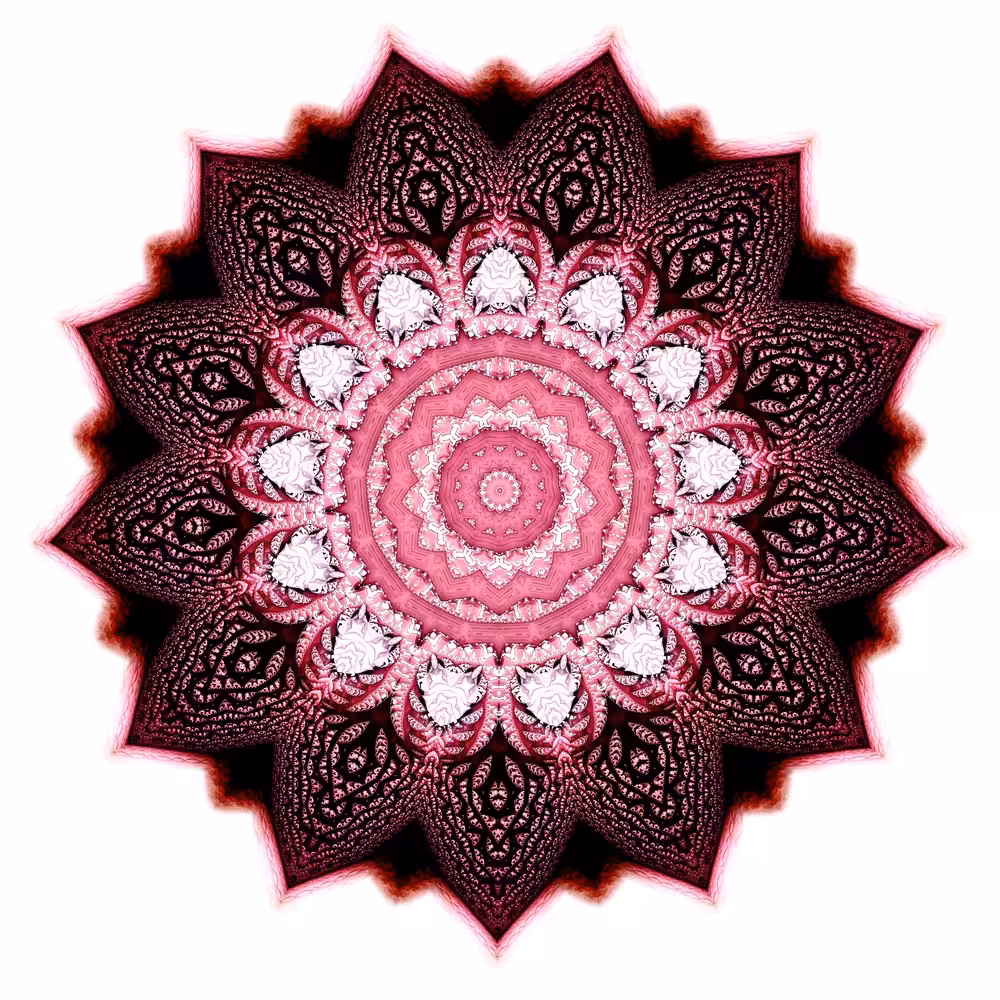 Dark Lily