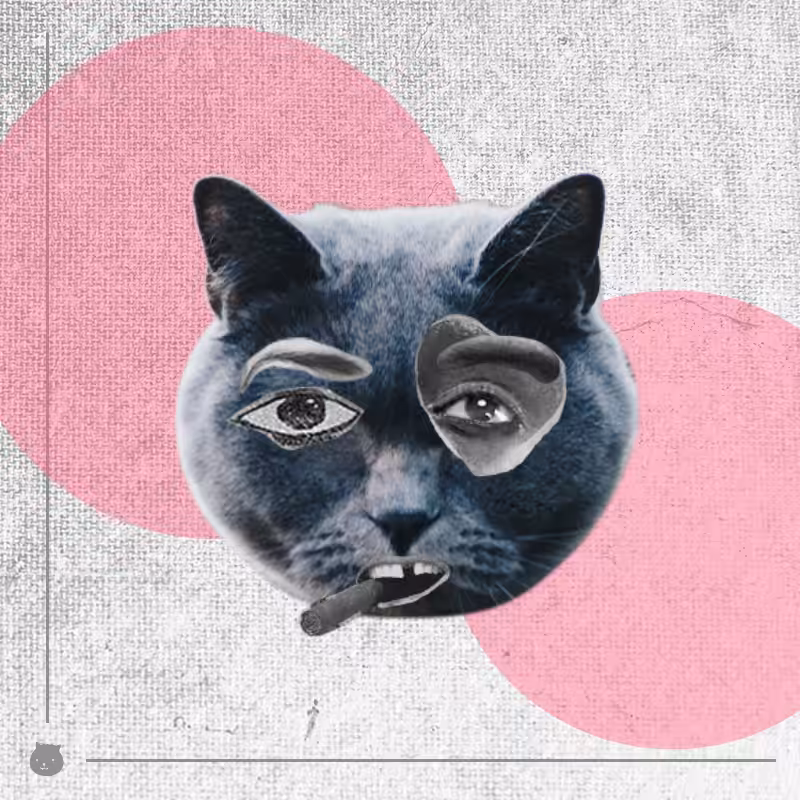 Kittenstein #52