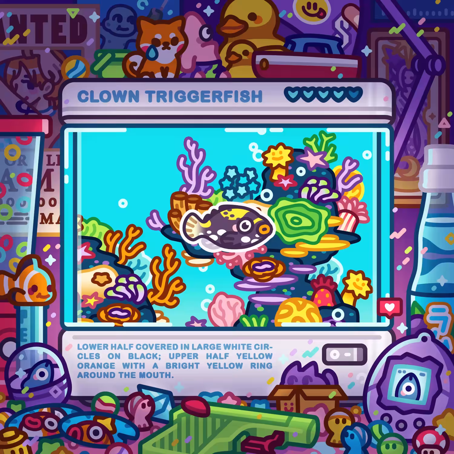 Clown Triggerfish
