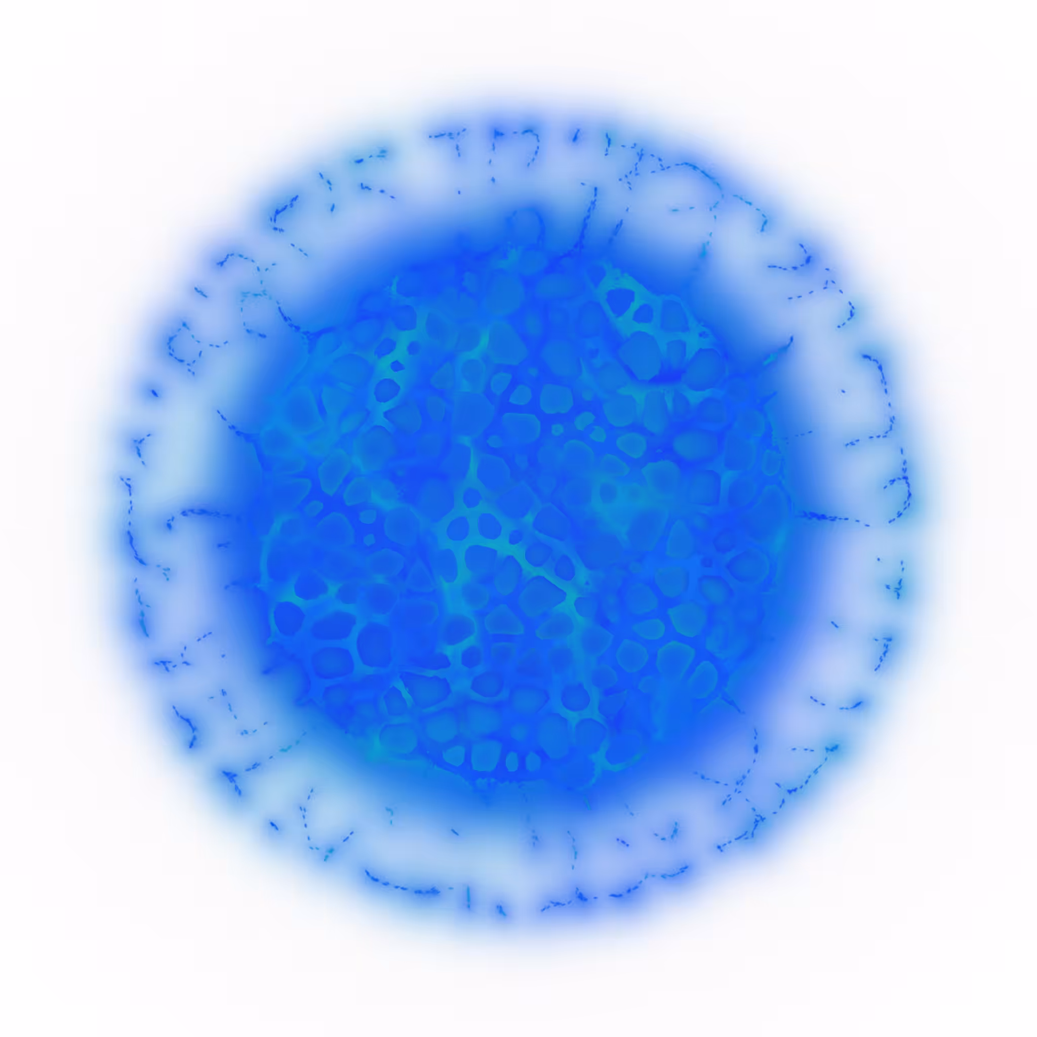Agnoscopic #3