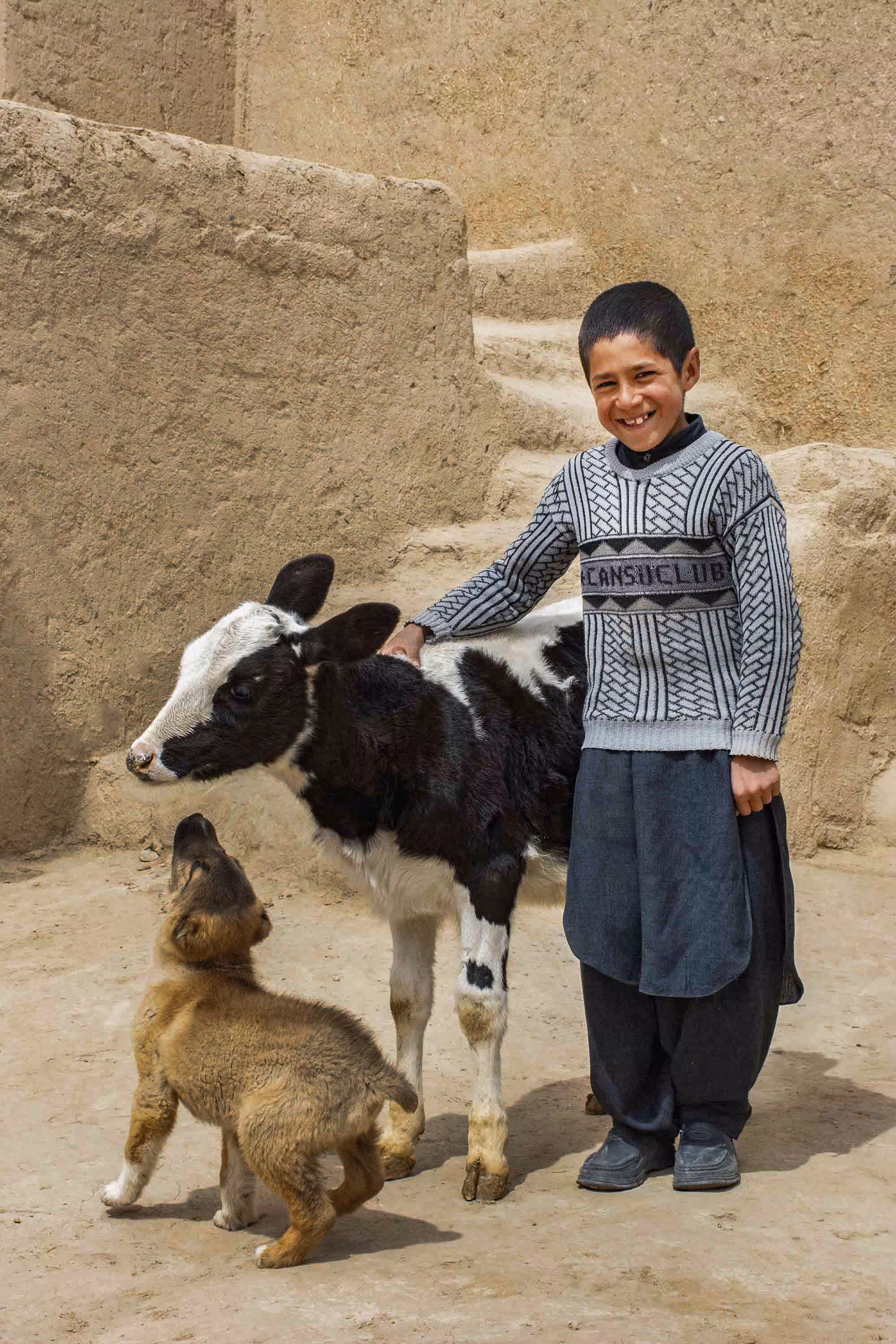 The youngest shepherd