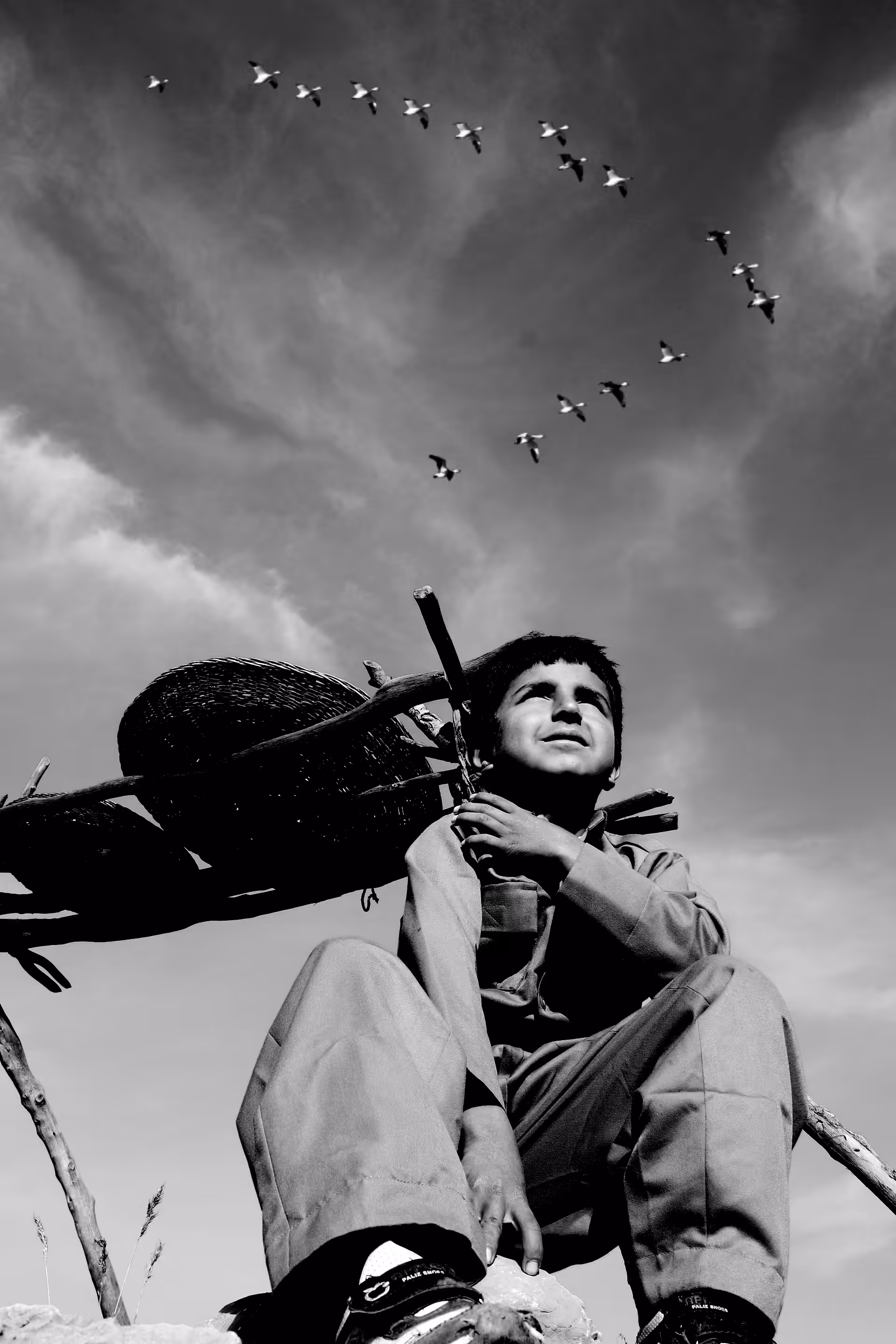 Migration