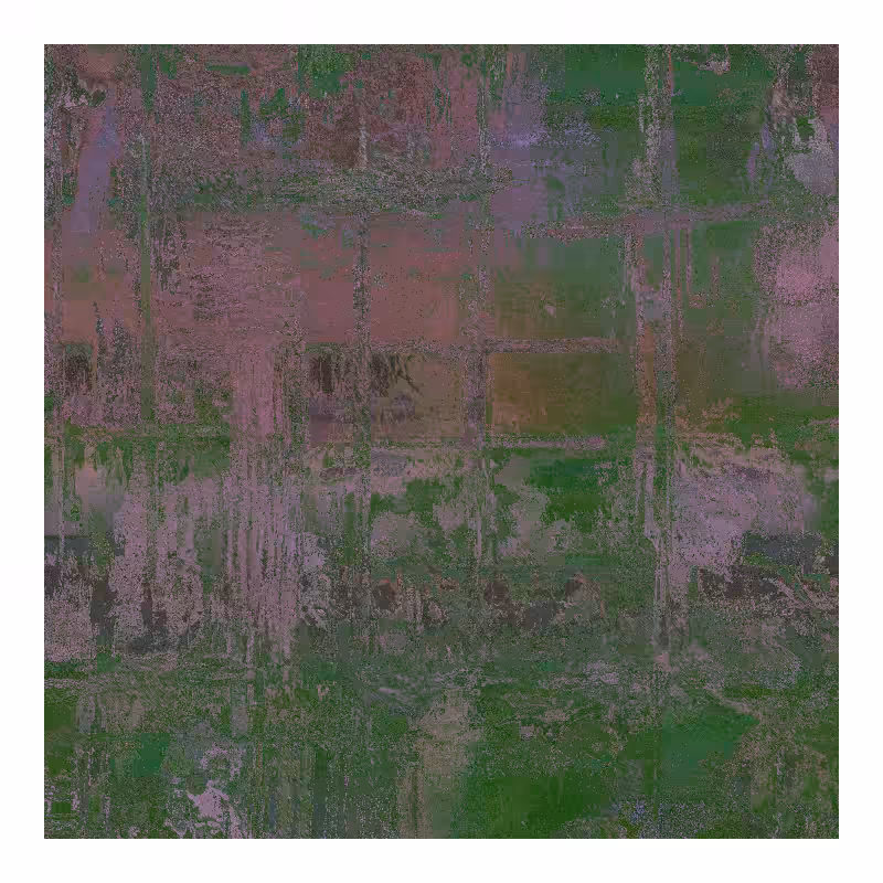 CALM #19