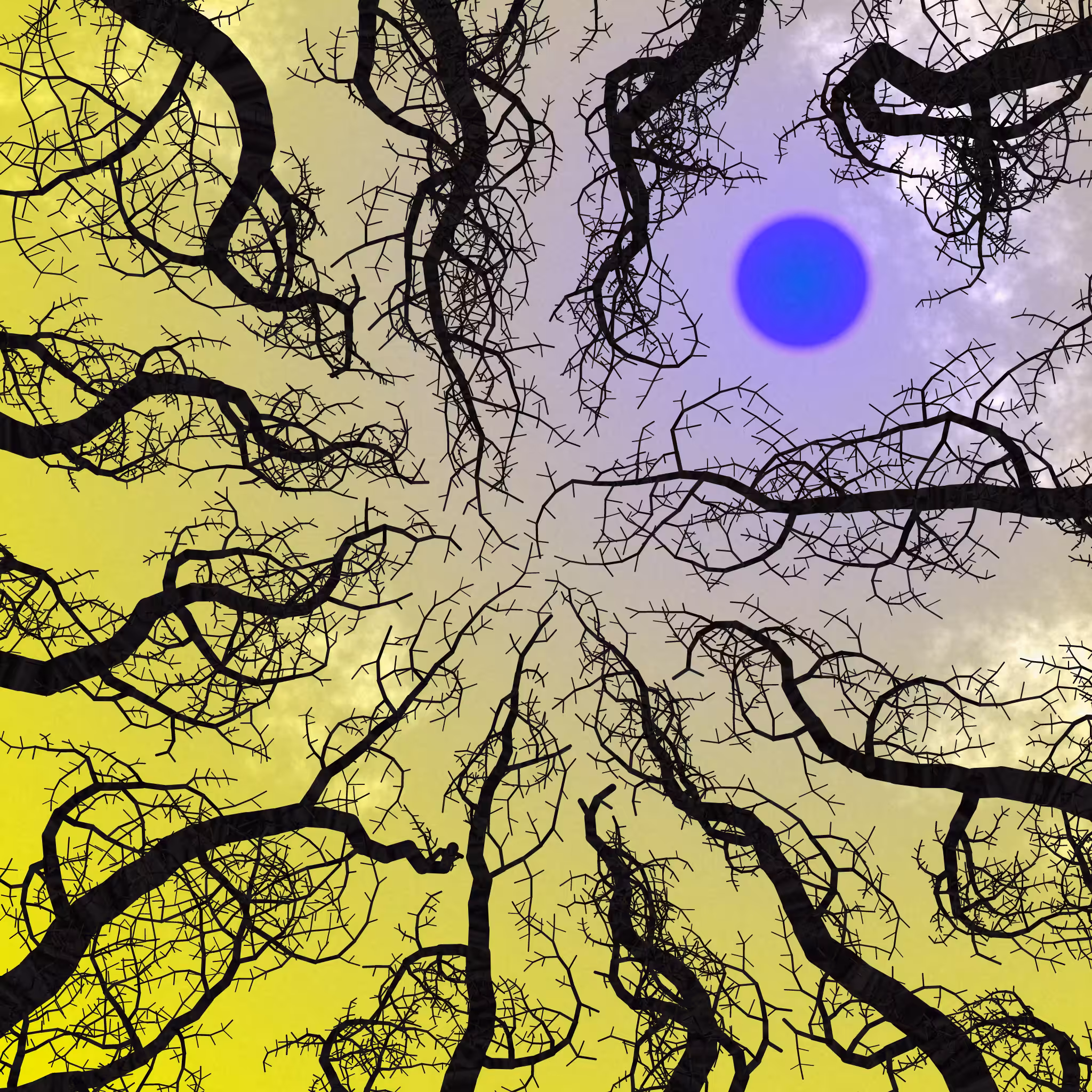 Tree Skyness #30