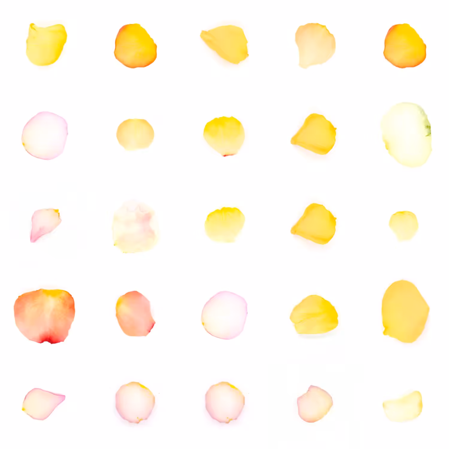 Infinite Petals 5x5#20921