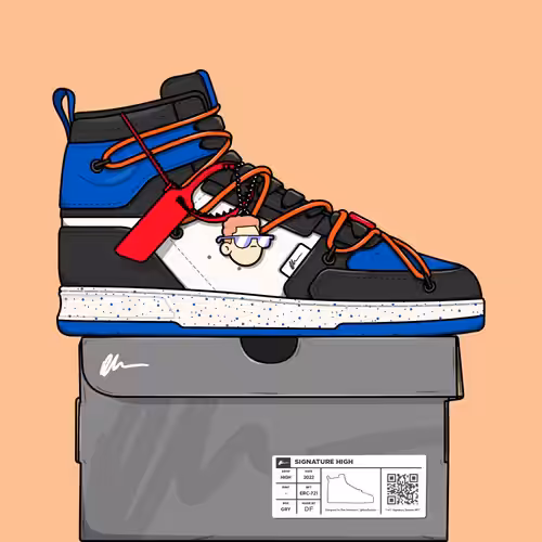 Signature Sneakers Highs #4