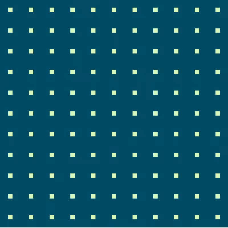 INTERACTIVE - Hide n Seek #5