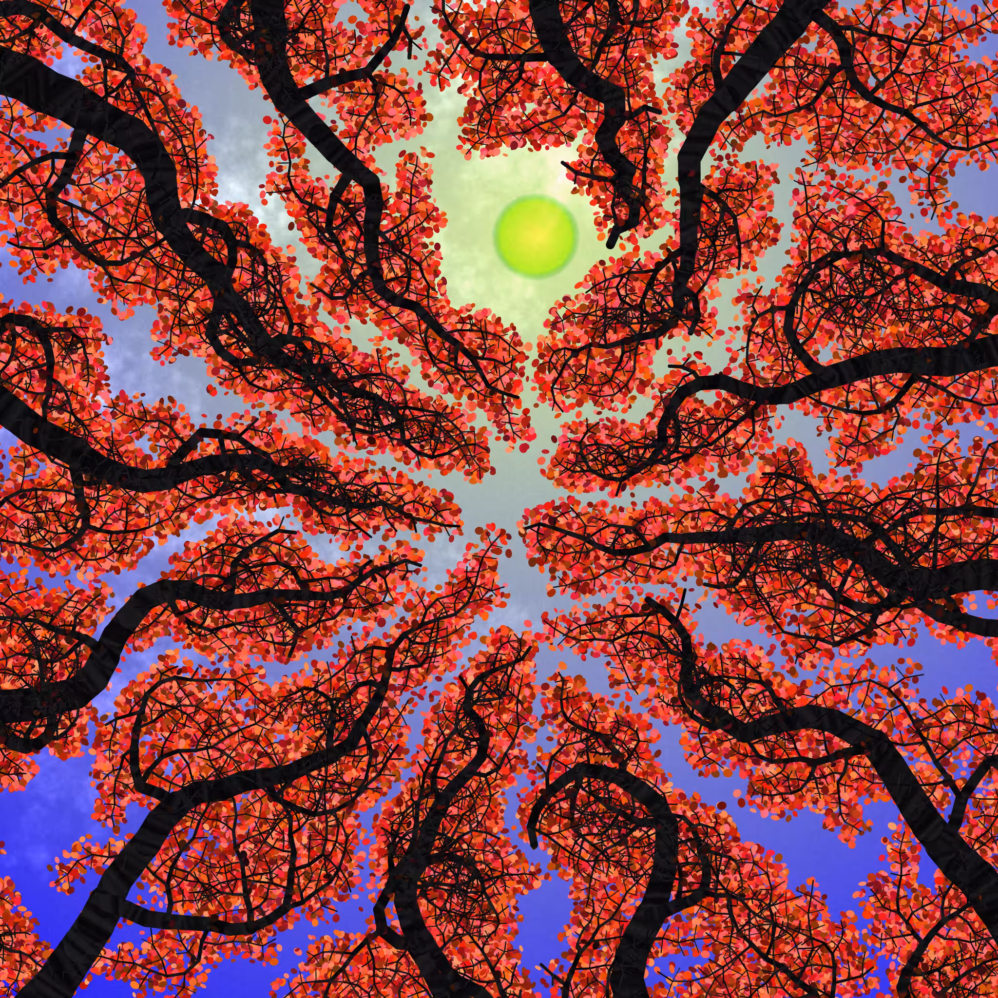 Tree Skyness #212