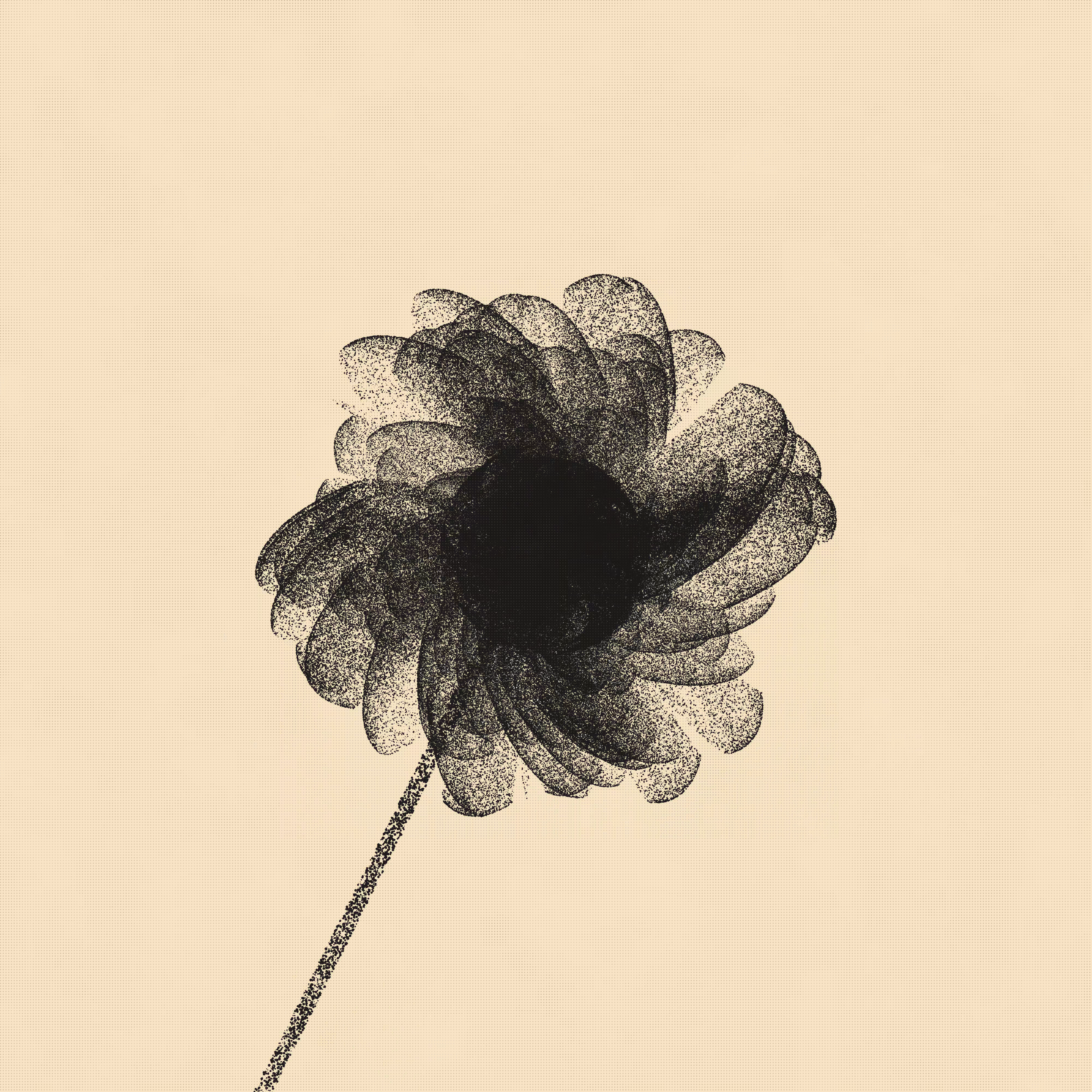 flos #27