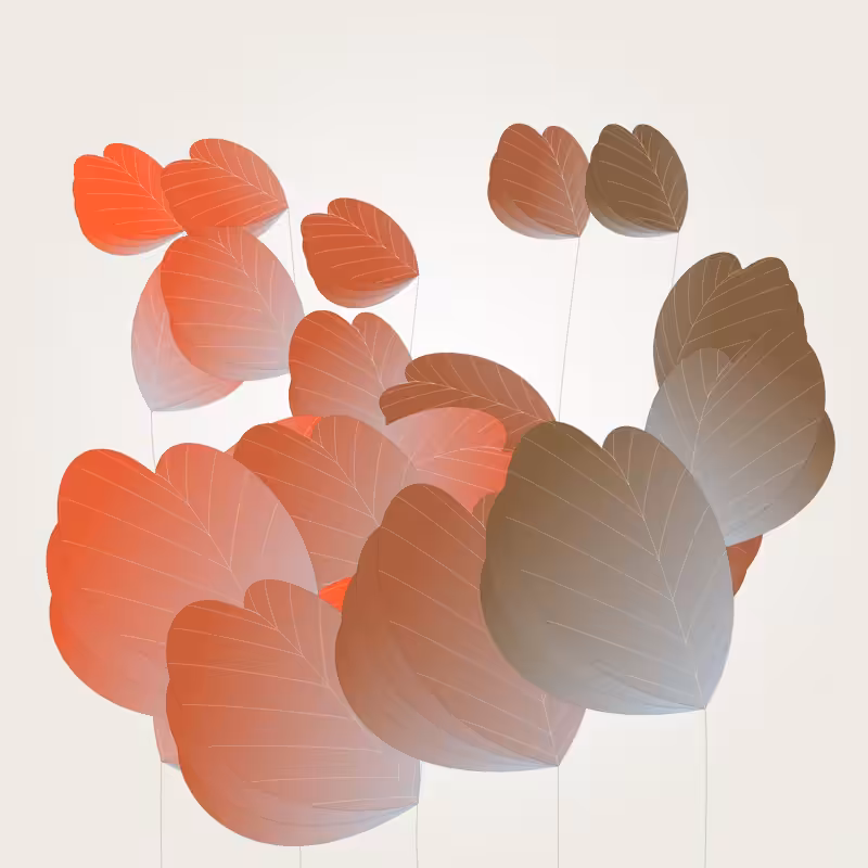 Colorleaves #4