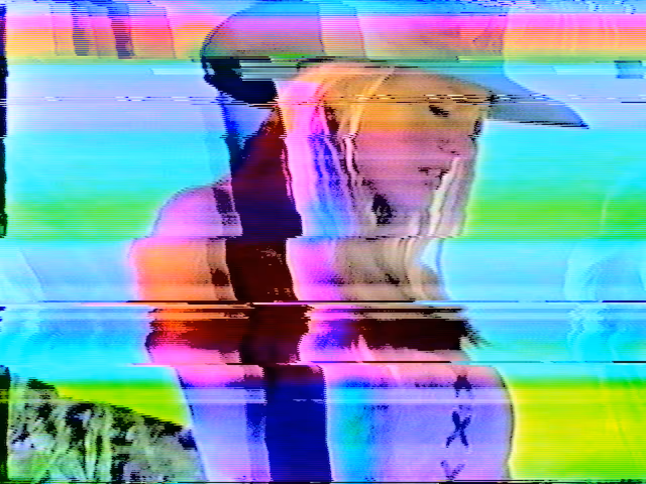 N1095