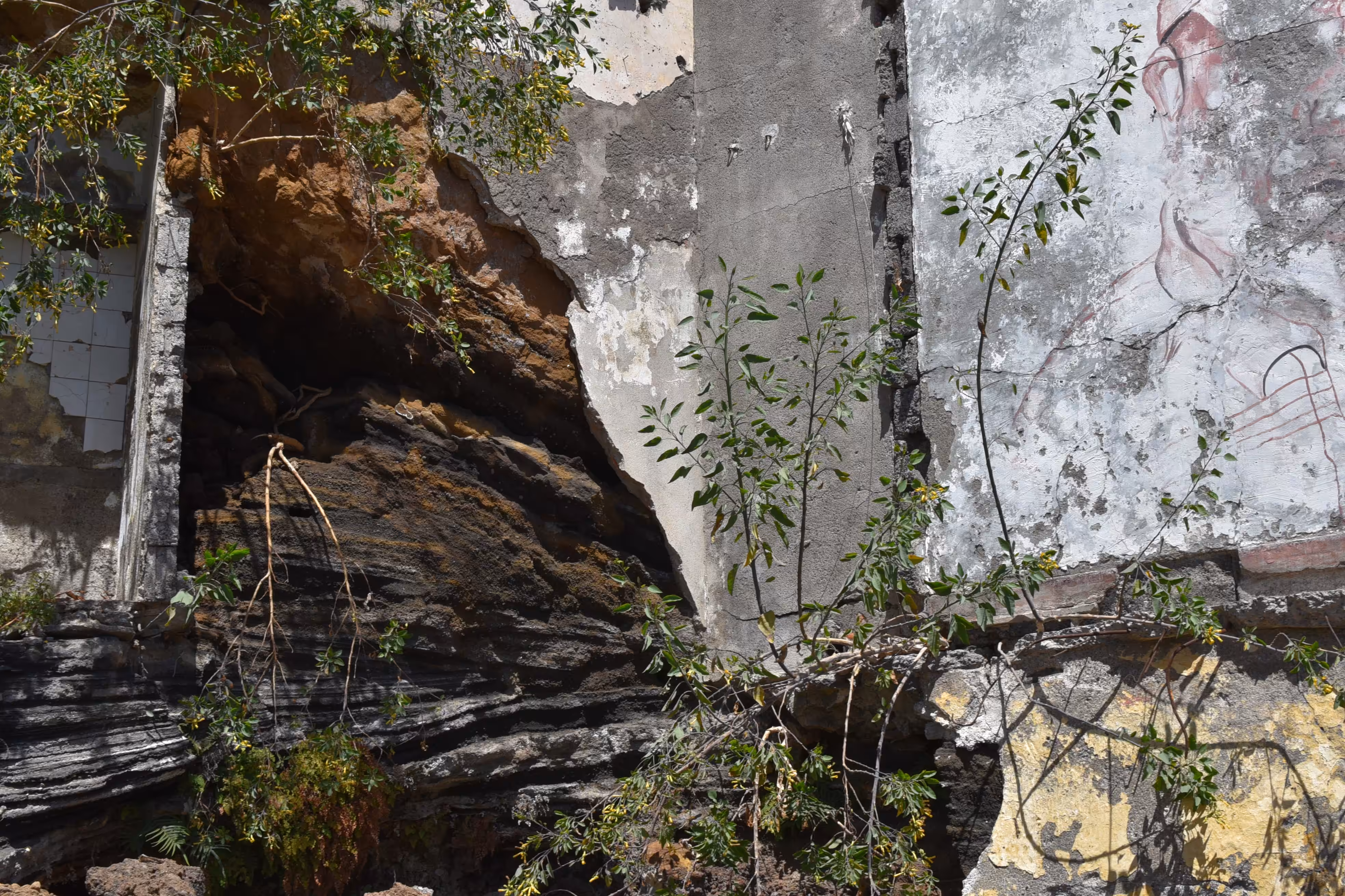 Reclaimed Space 1: Câmara de Lobos 