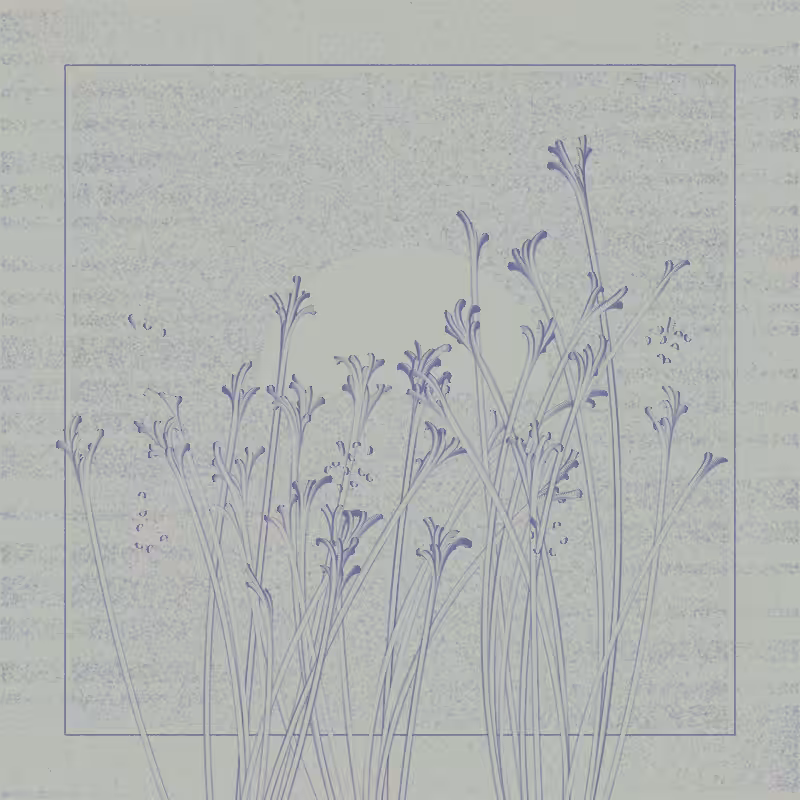 string_pllu #115