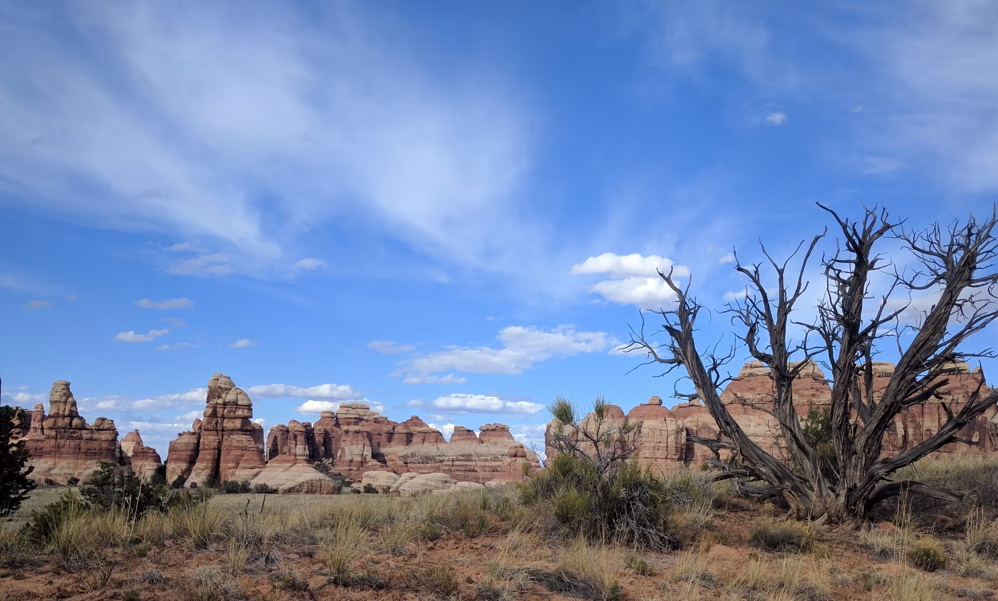 Objkt #8 Canyonlands Needles_Joint Trail I