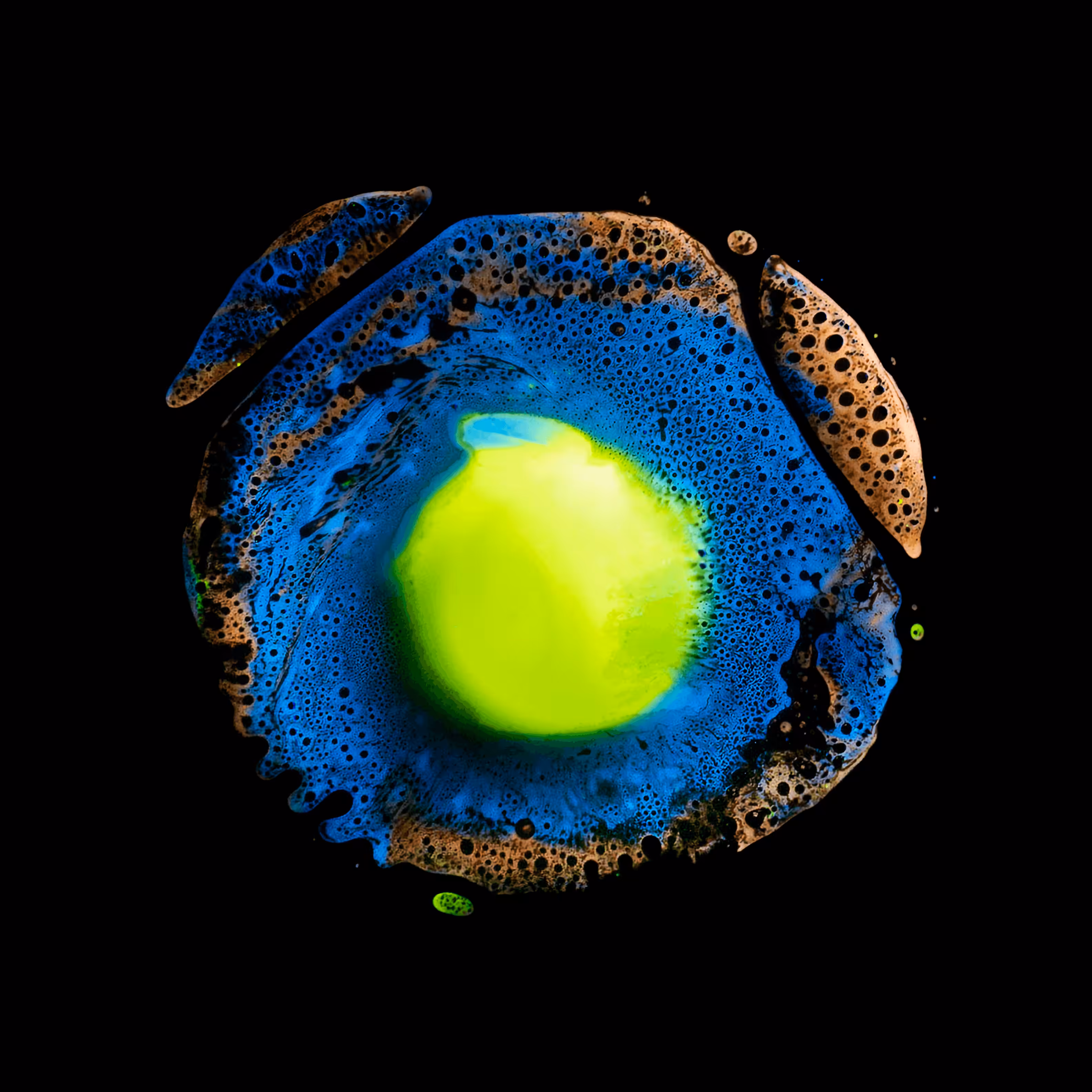 Haematopoiesis #229