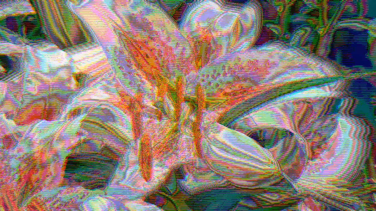 IN BLOOM #3
