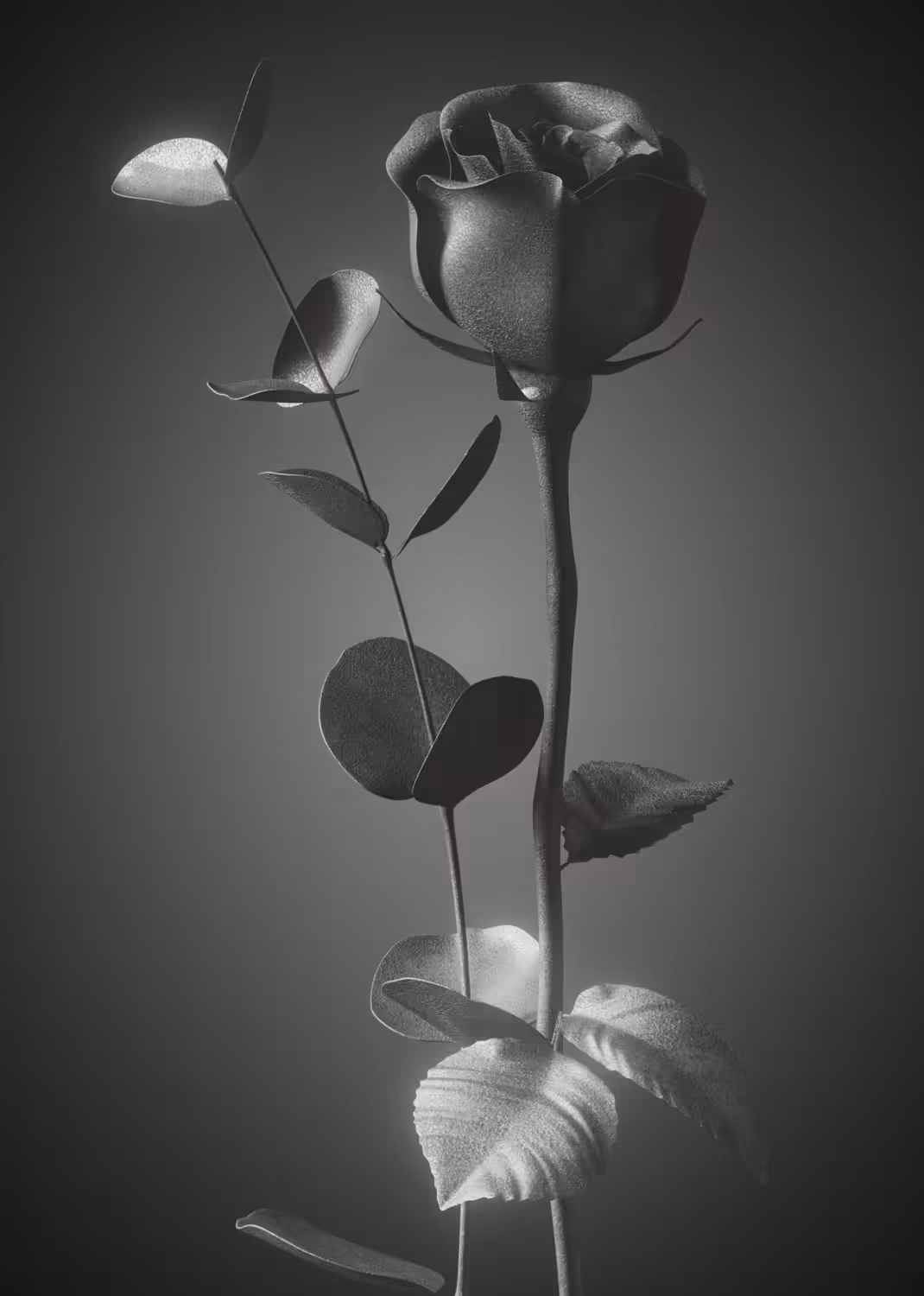Rose #4: Leather