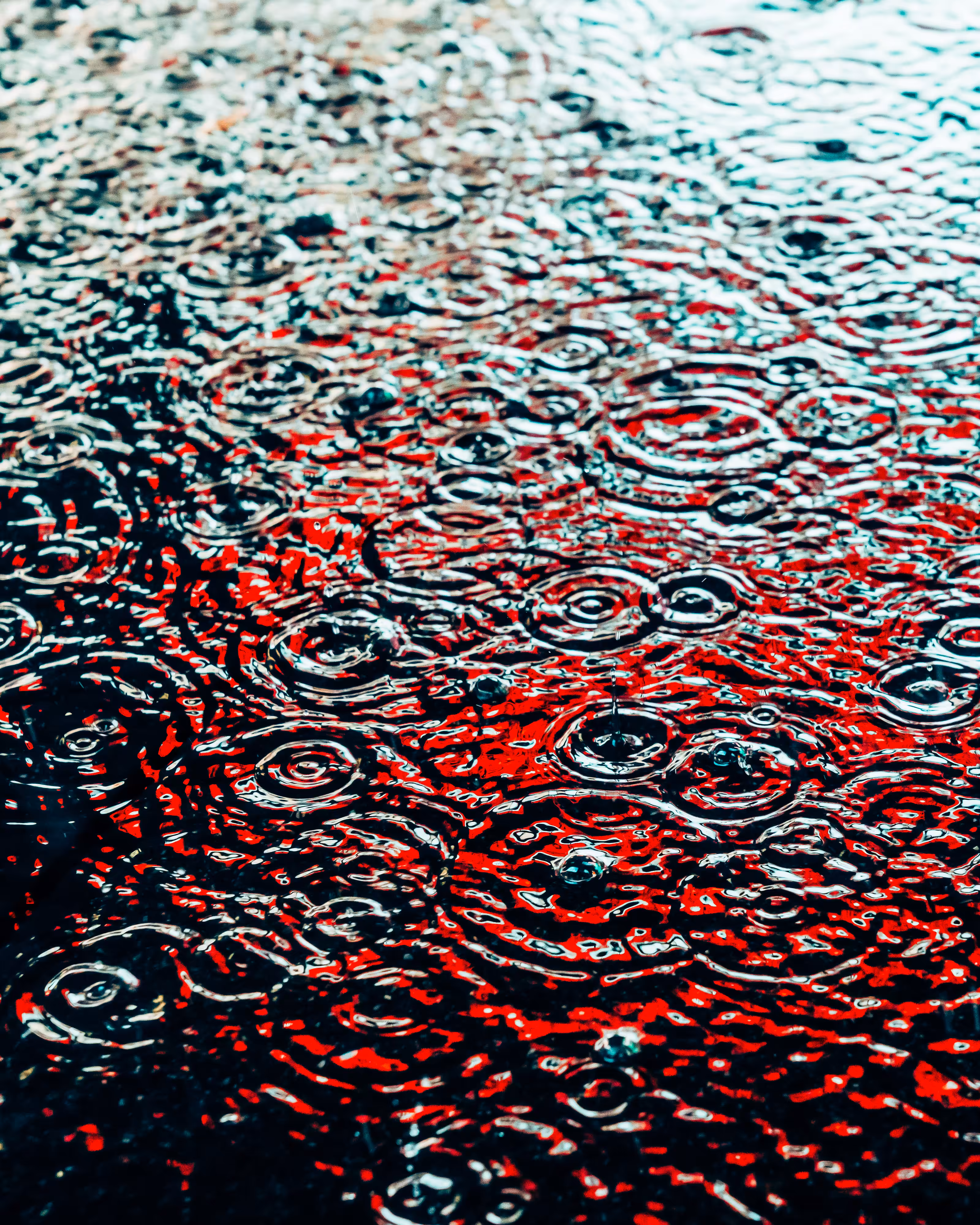 DRIP #174
