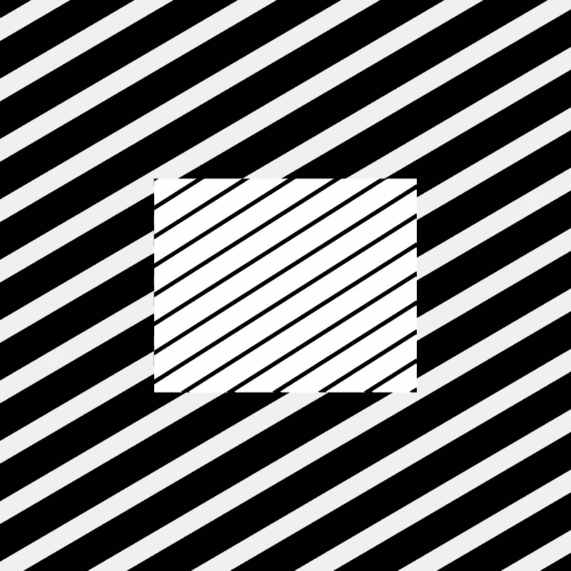 Chromatic dazzle #486