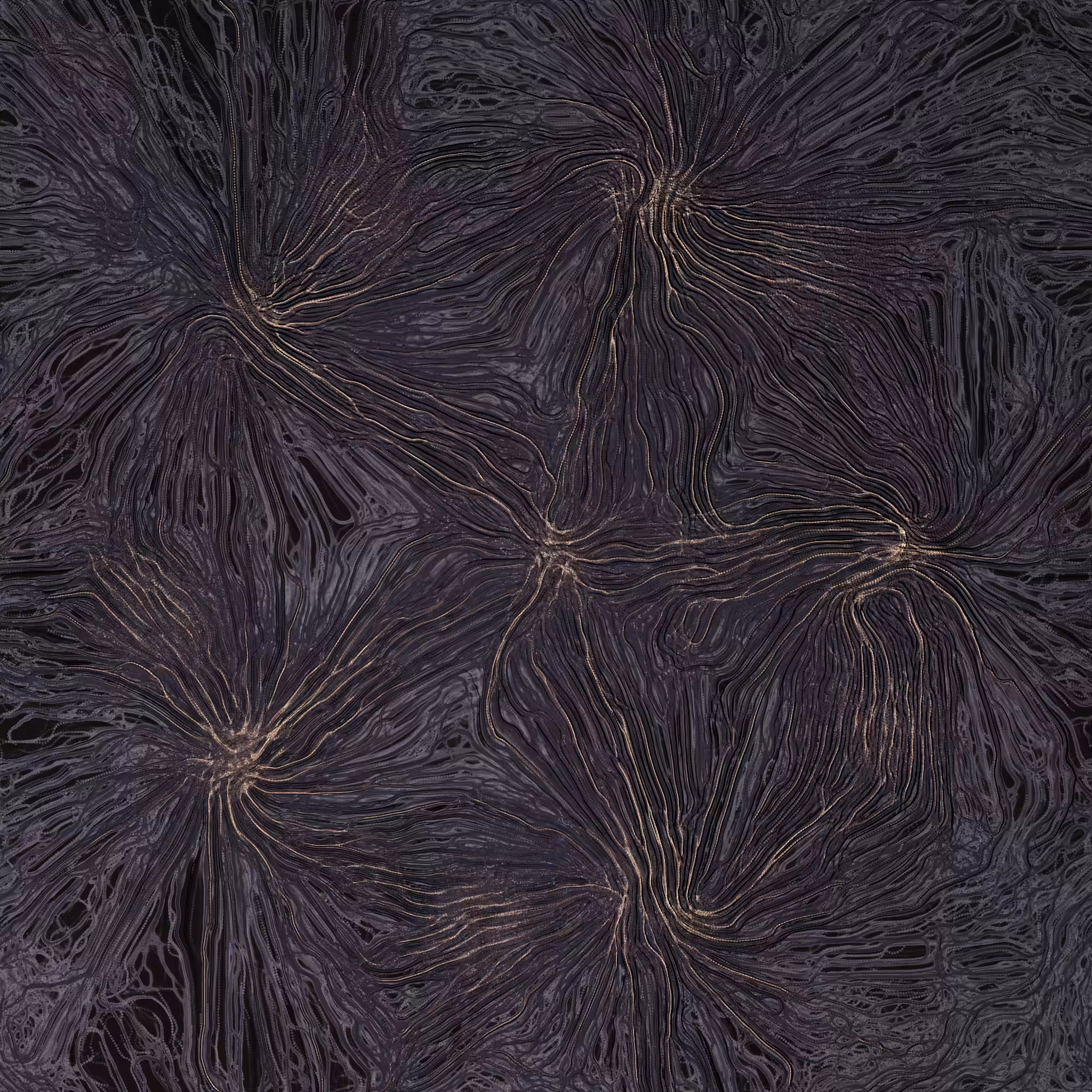 coalescence #51