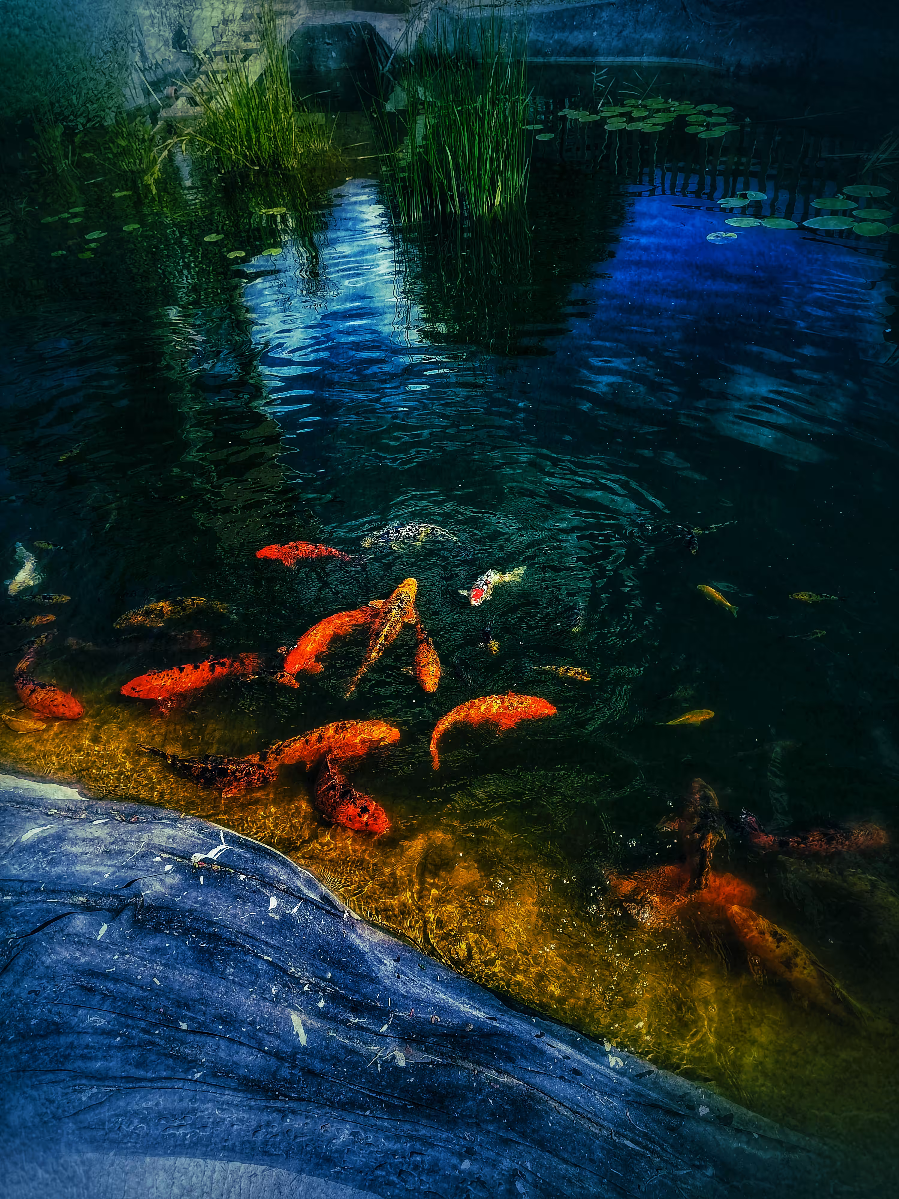 Catch, fish!