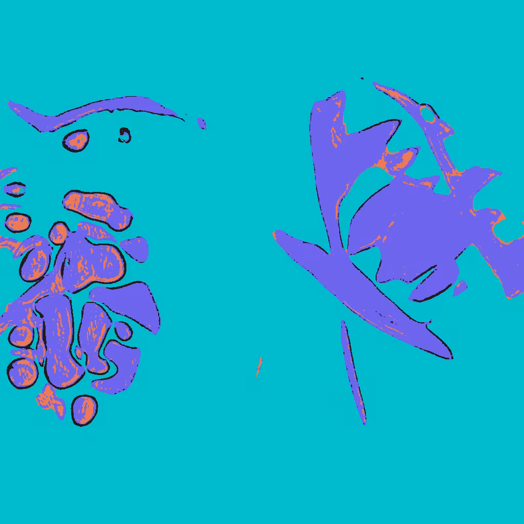 Confluence #40