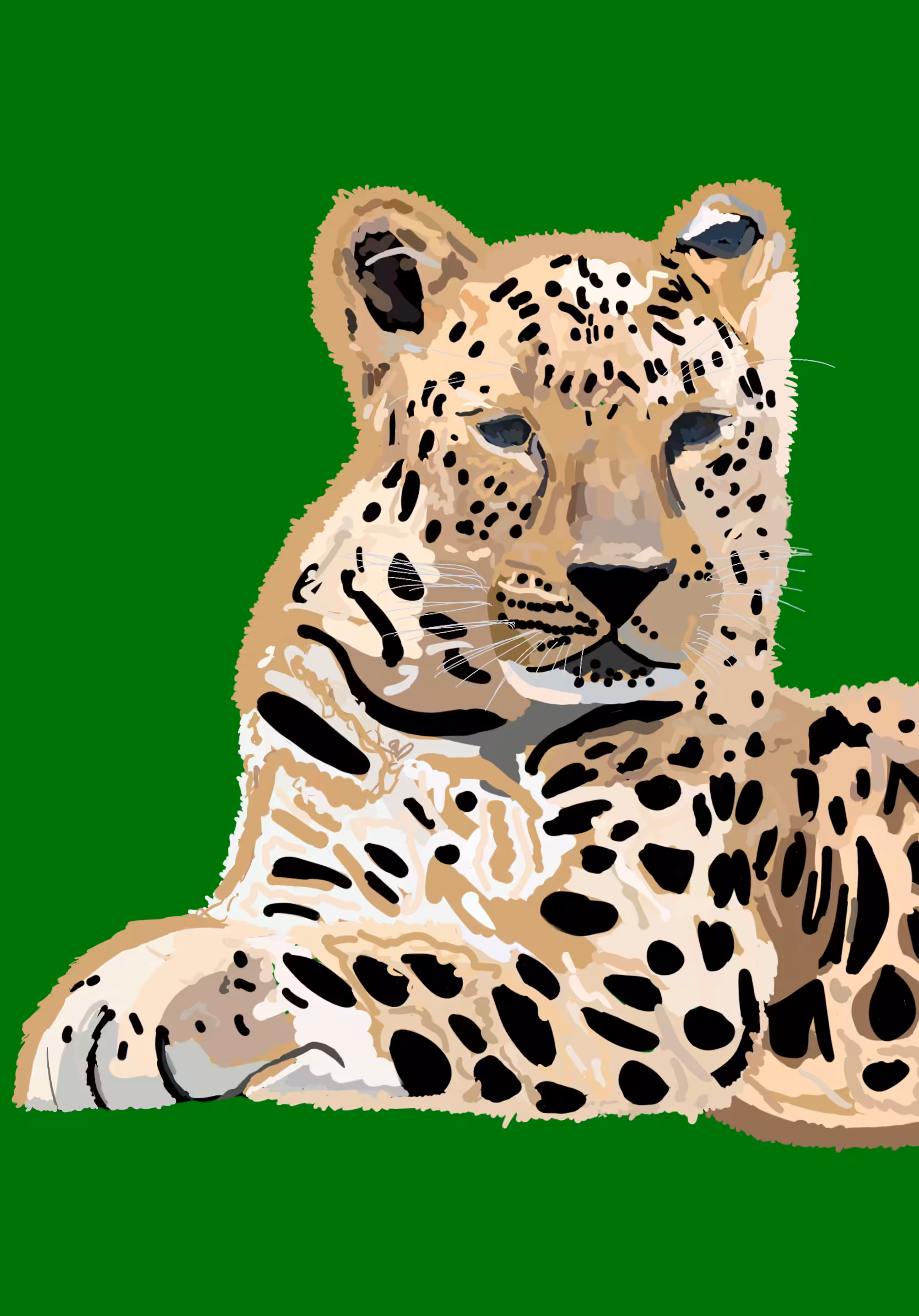 Amur Leopard