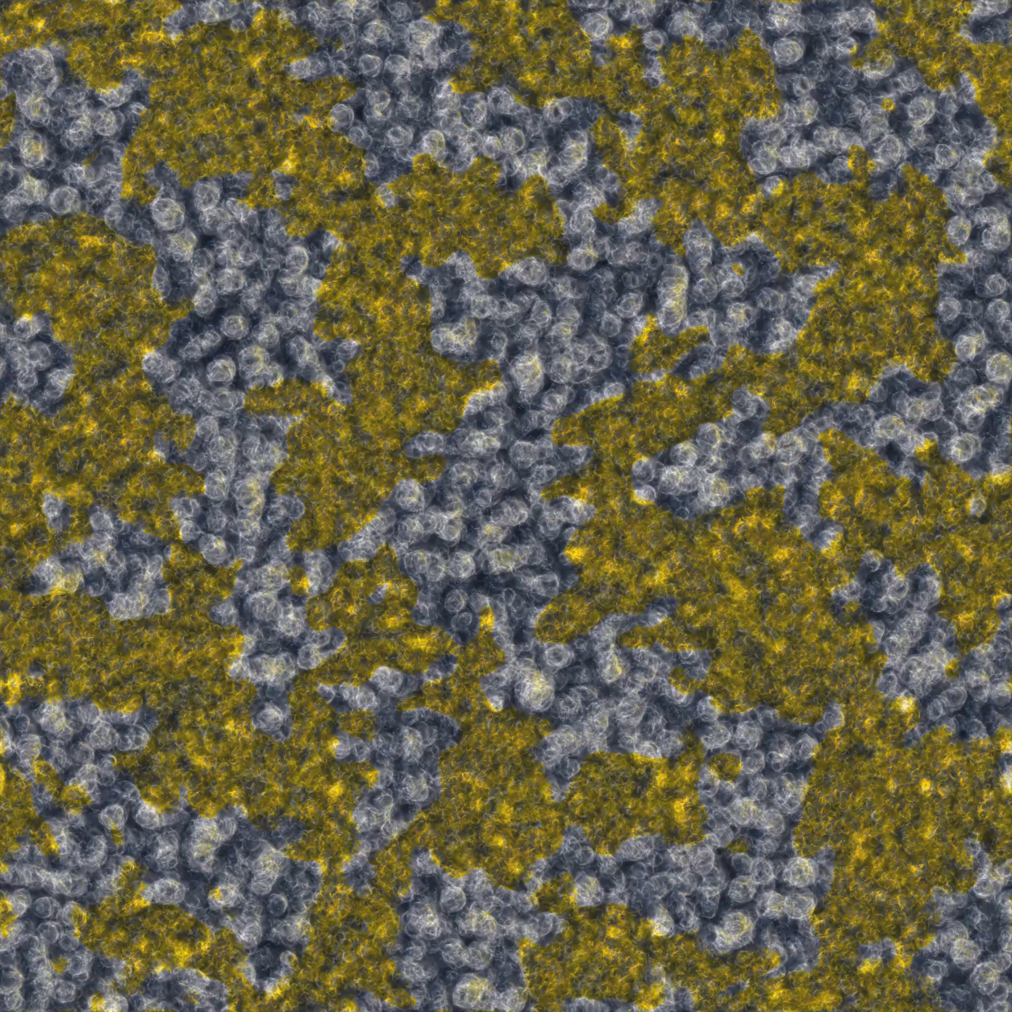 saprophyte #205