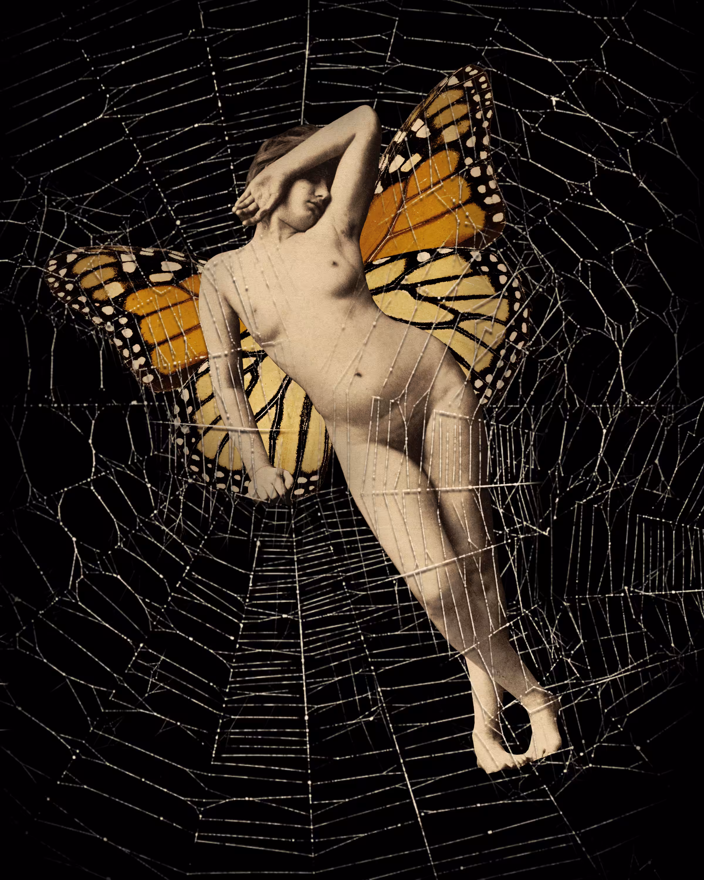 New Cocoon