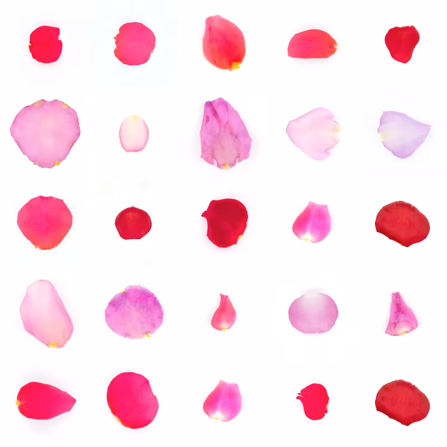 Infinite Petals 5x5#20350