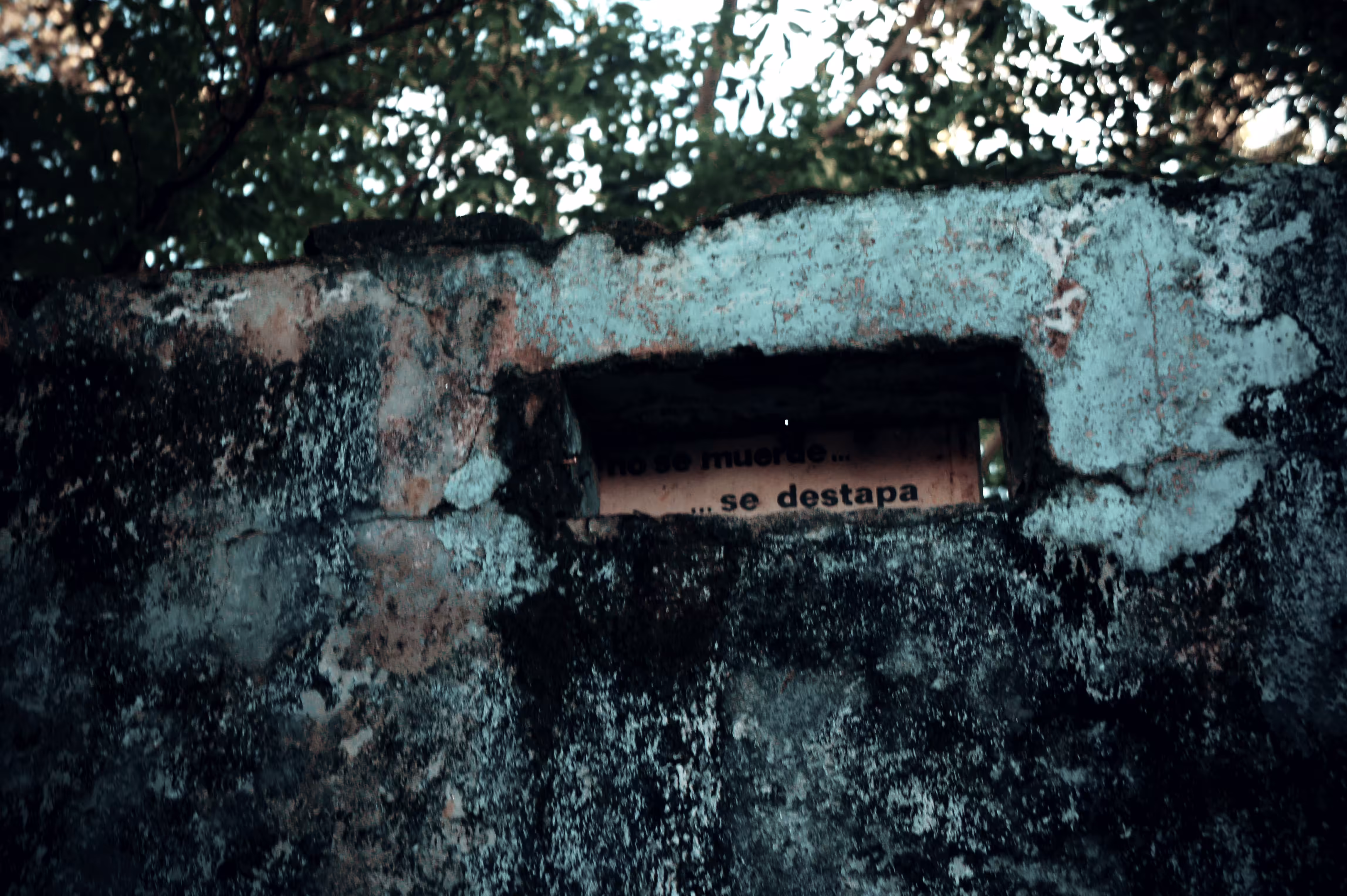 Armero serie N° 12
