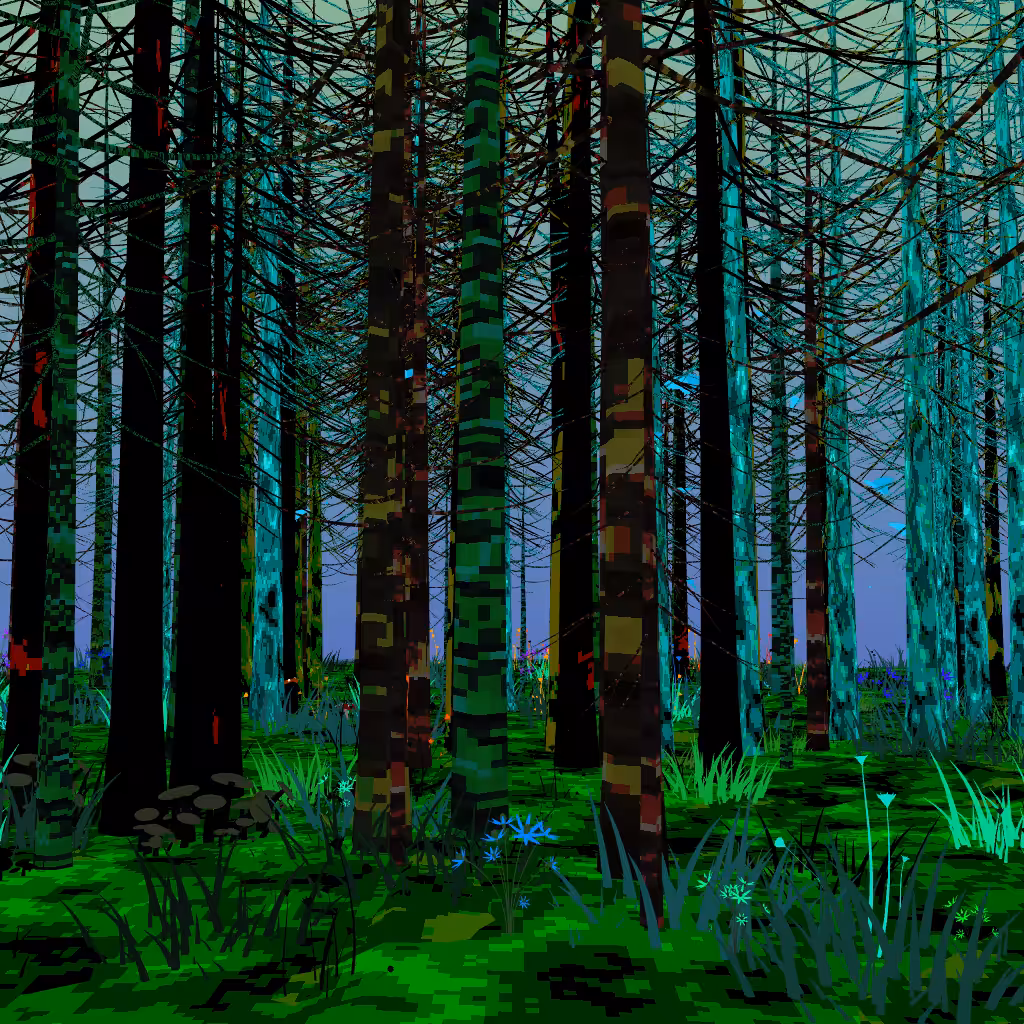 Dawn in the Forest #2