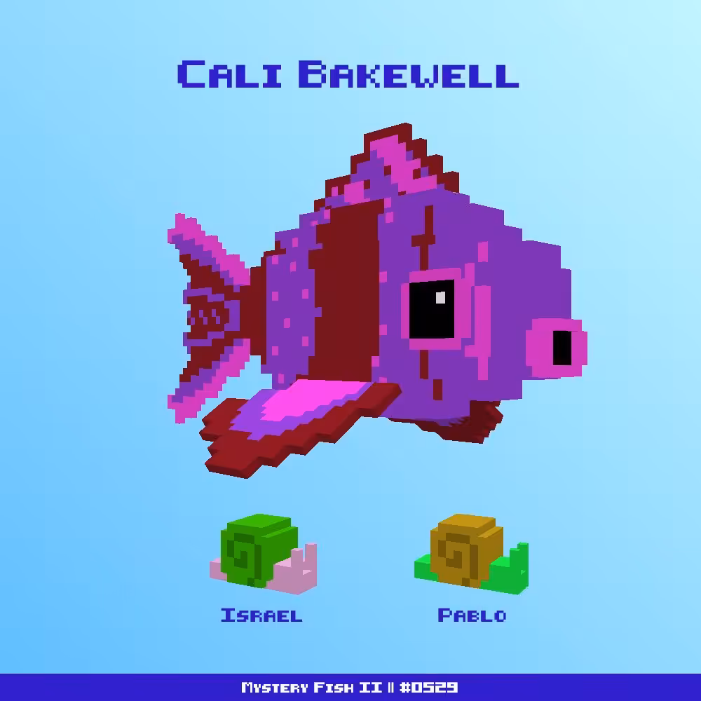 Cali Bakewell :: Mystery Fish 0529/1000