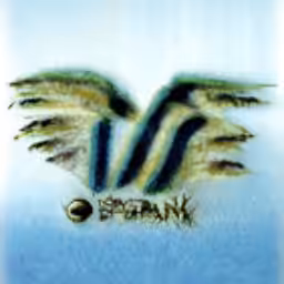 wingspanbank.com (1999-2001) reimagined by Cosmographia, with Simon Denny and Guile Twardowski