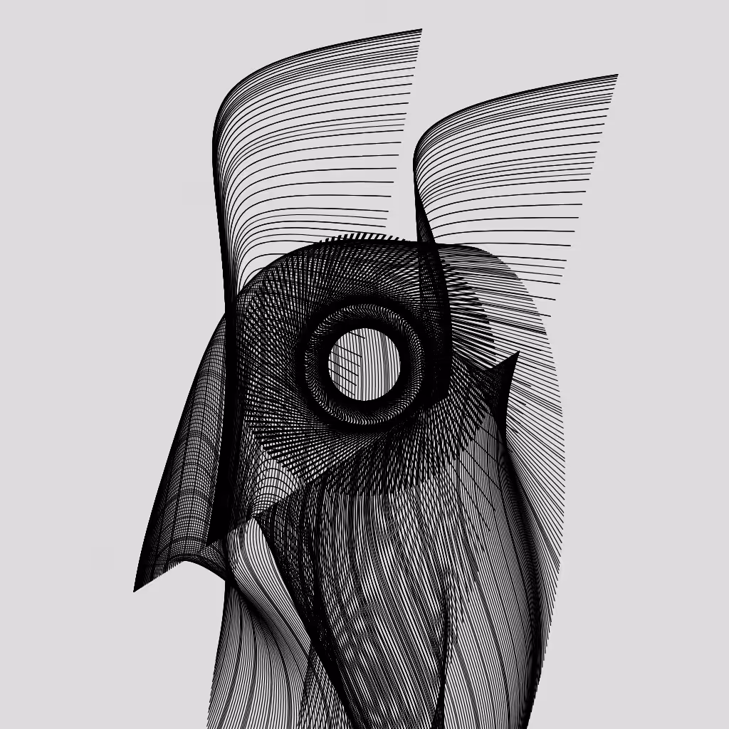 ANATOMY of a rabbit but bird #25