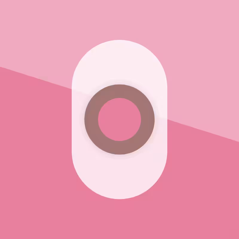 Capsule #10