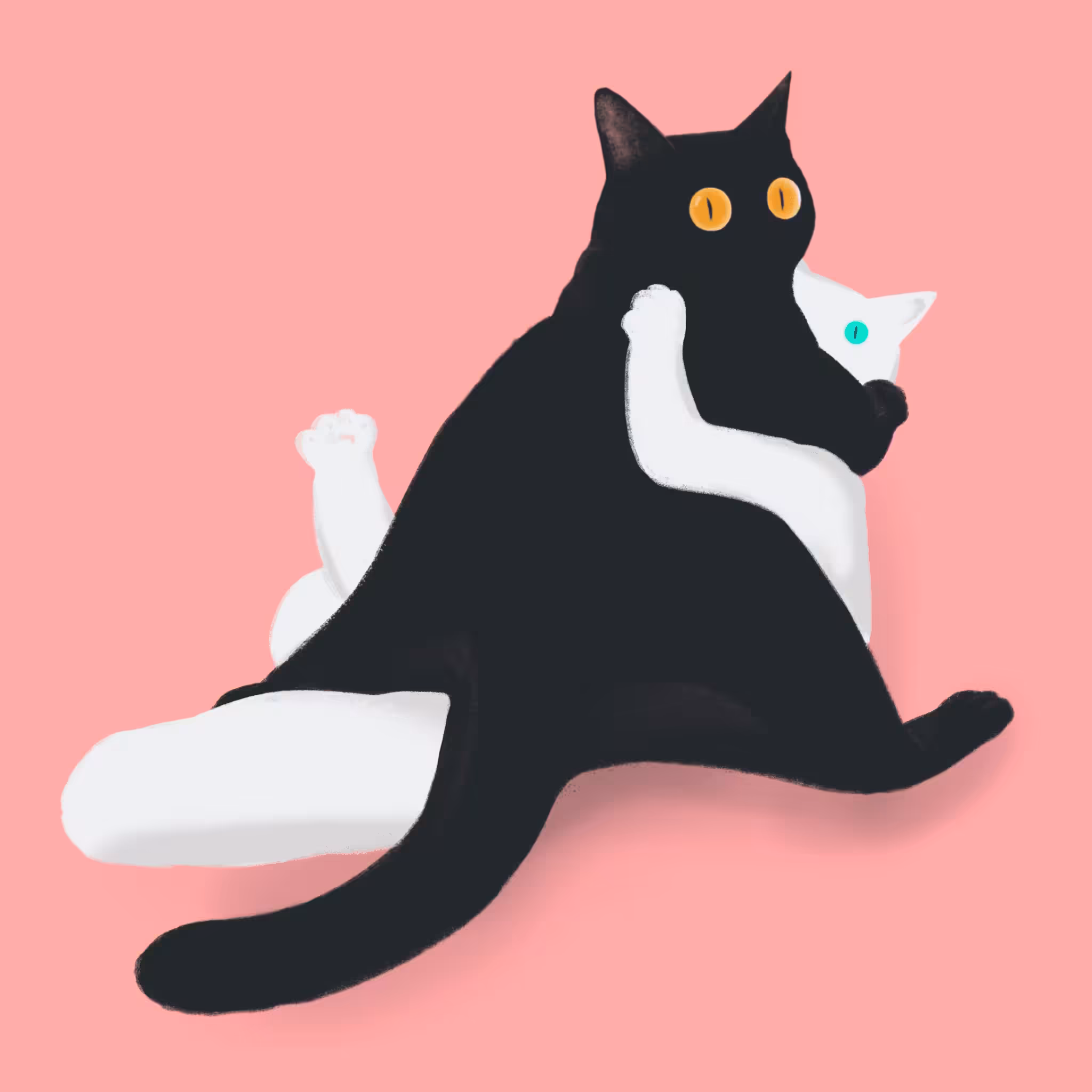 Partner Meow