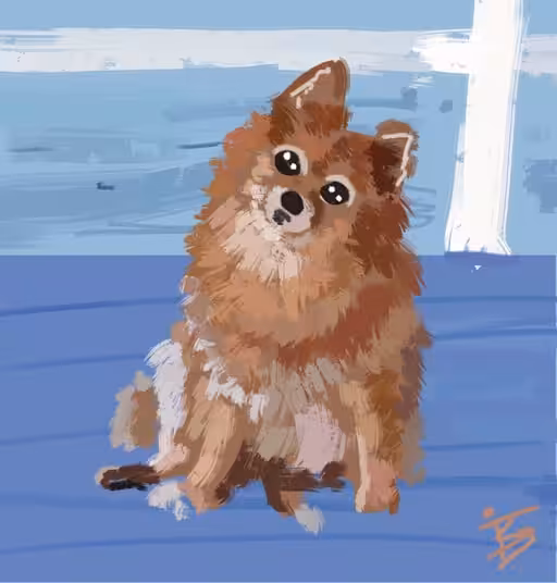 A Day at the Beach