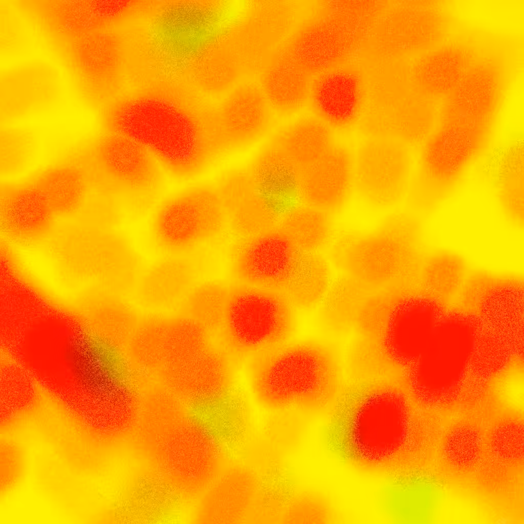 e_0001