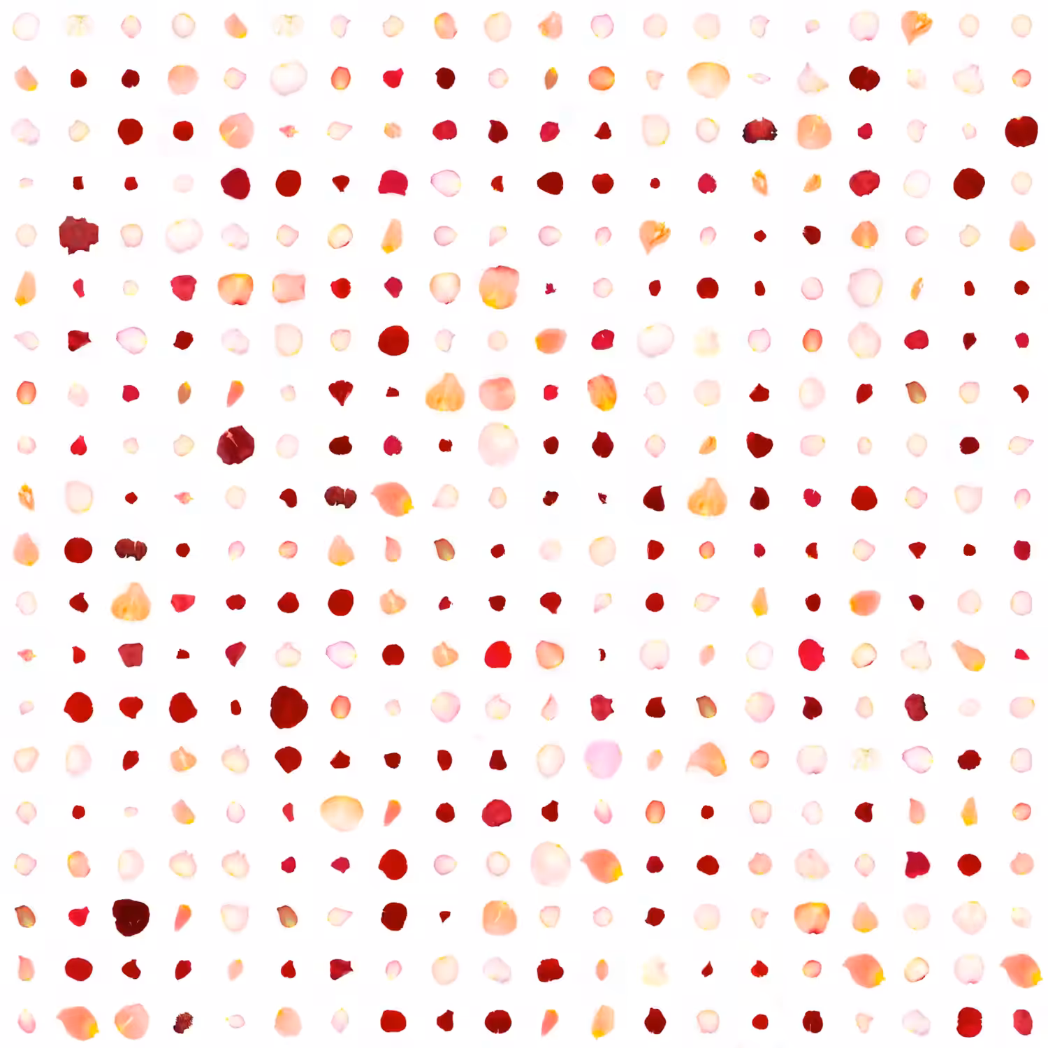 Infinite Petals 20x20#2707