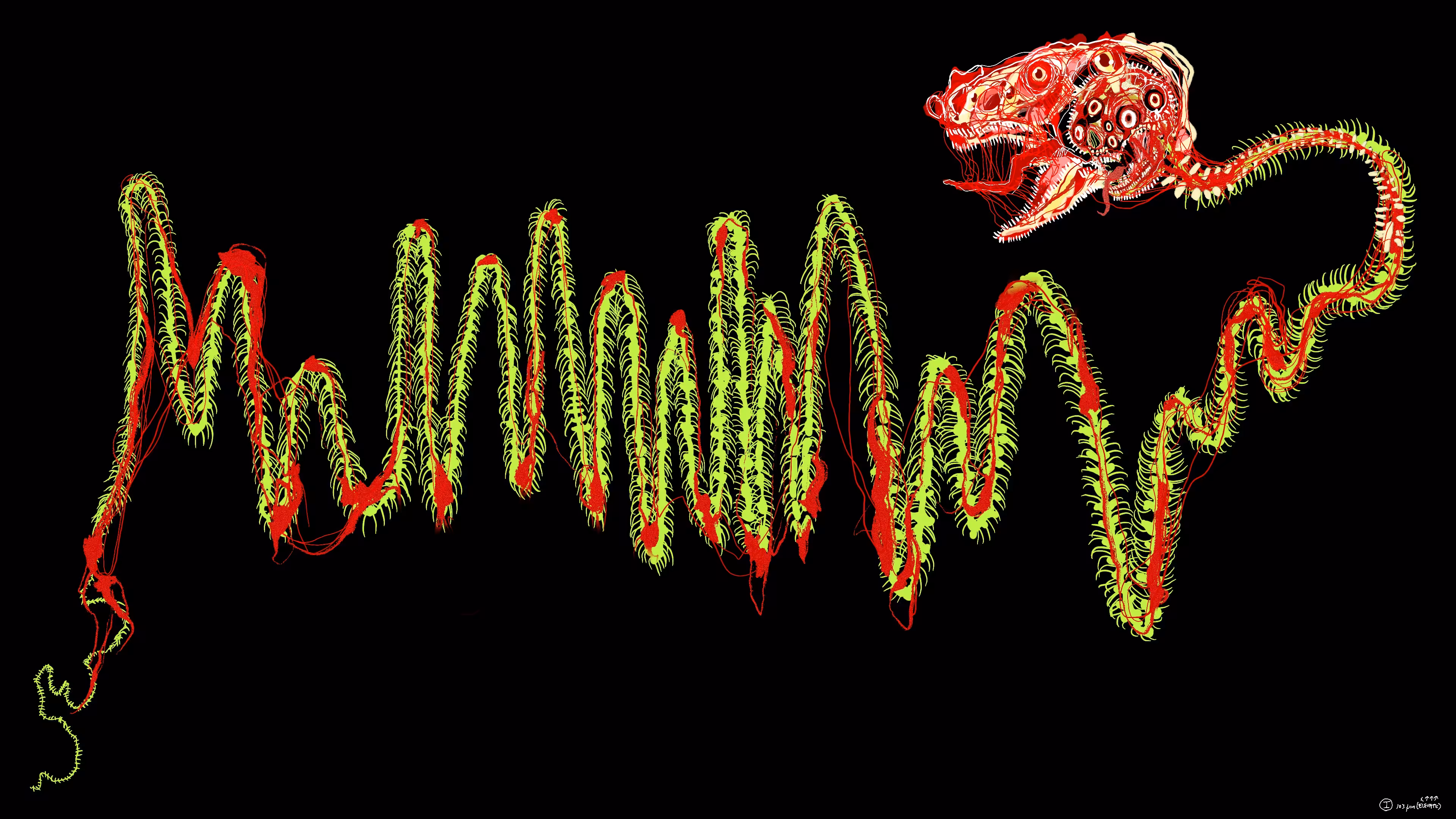 Chromie Tapeworm Micrograph <i>