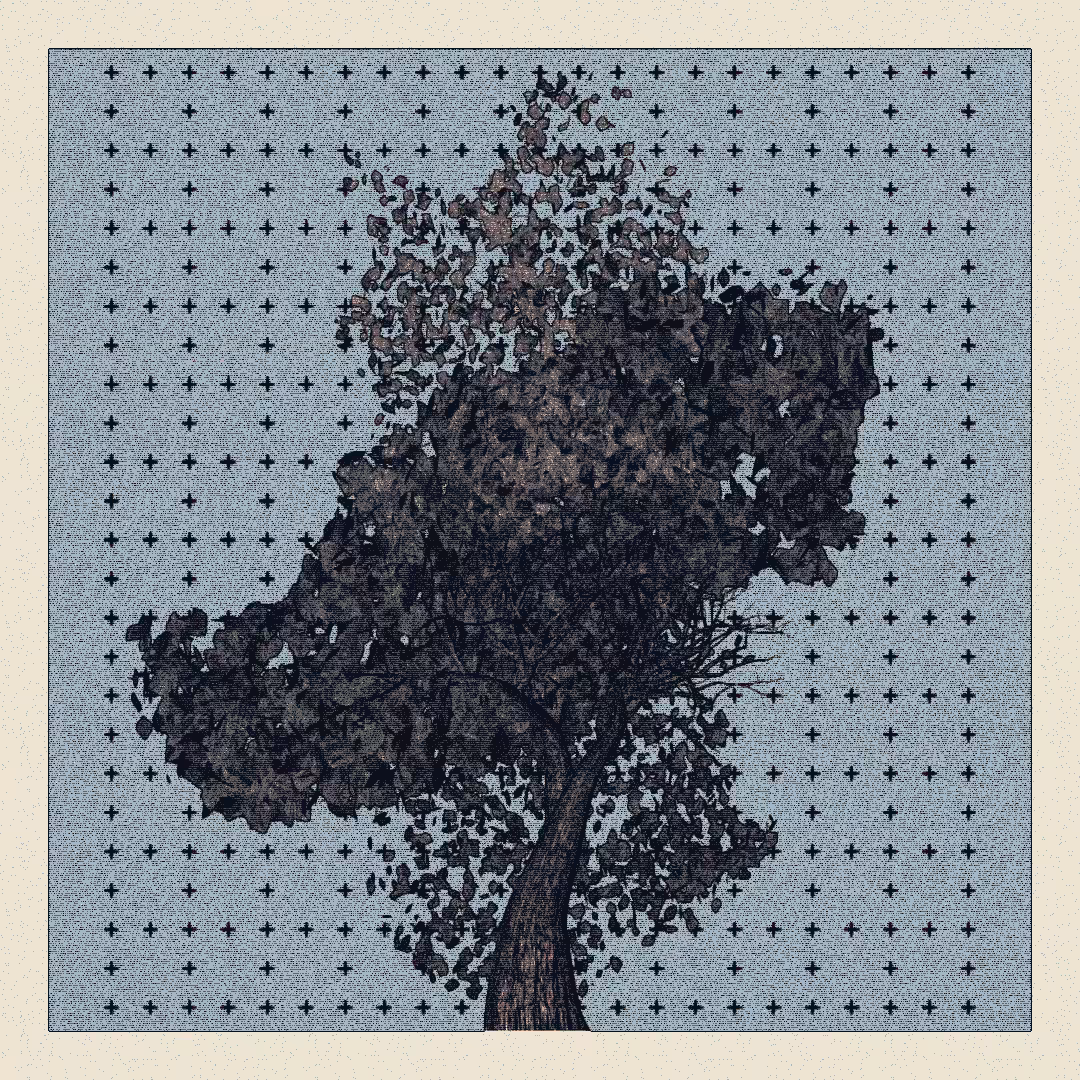 _argania[primaria] #283