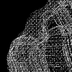 fragments ZTX-051