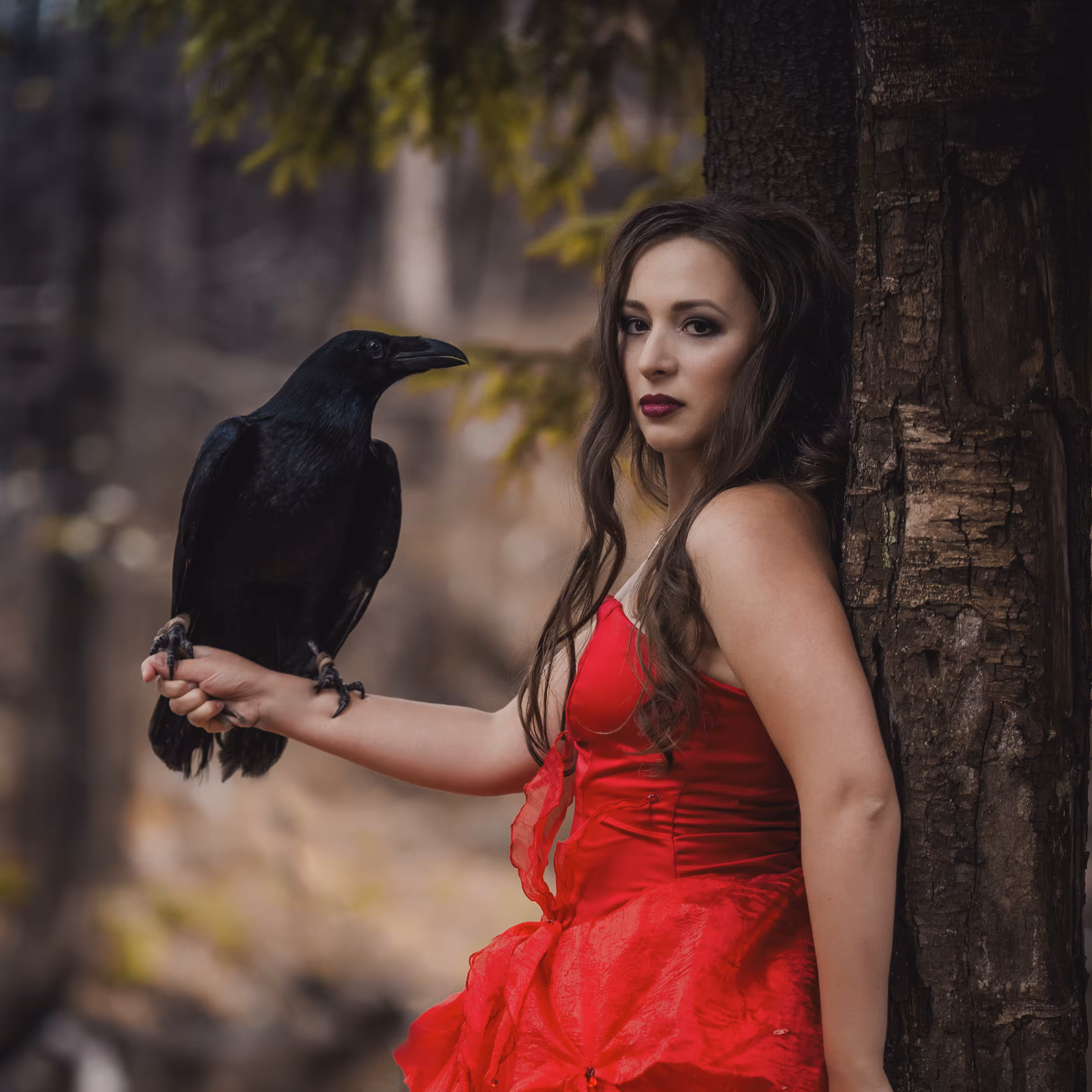 Morrigan with a raven