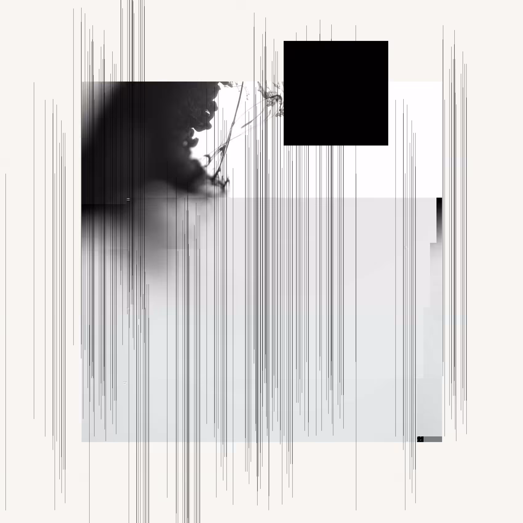 Motions #11
