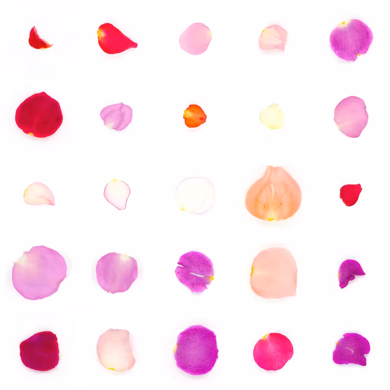 Infinite Petals 5x5#20372